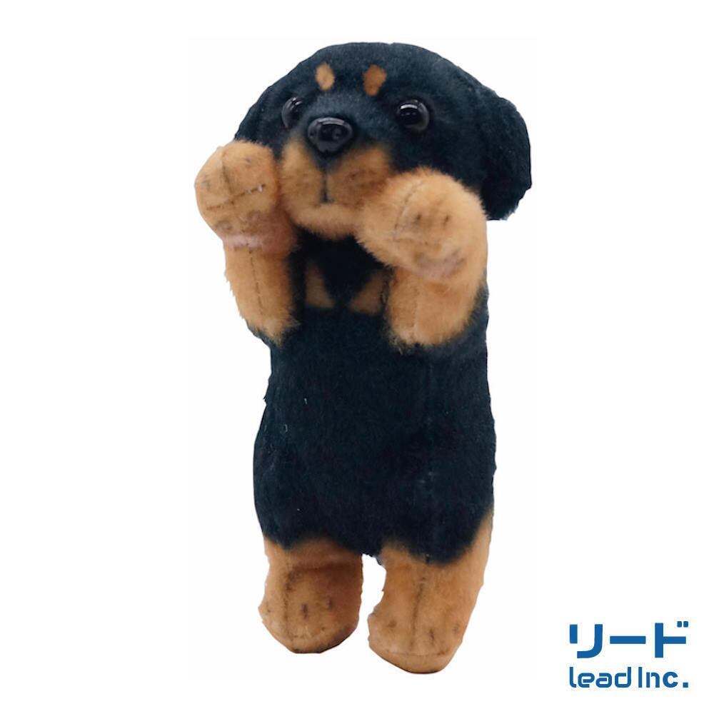 たっちぃZooわんこmini ミニチュアダックスフンド | リードのおみせ Catail