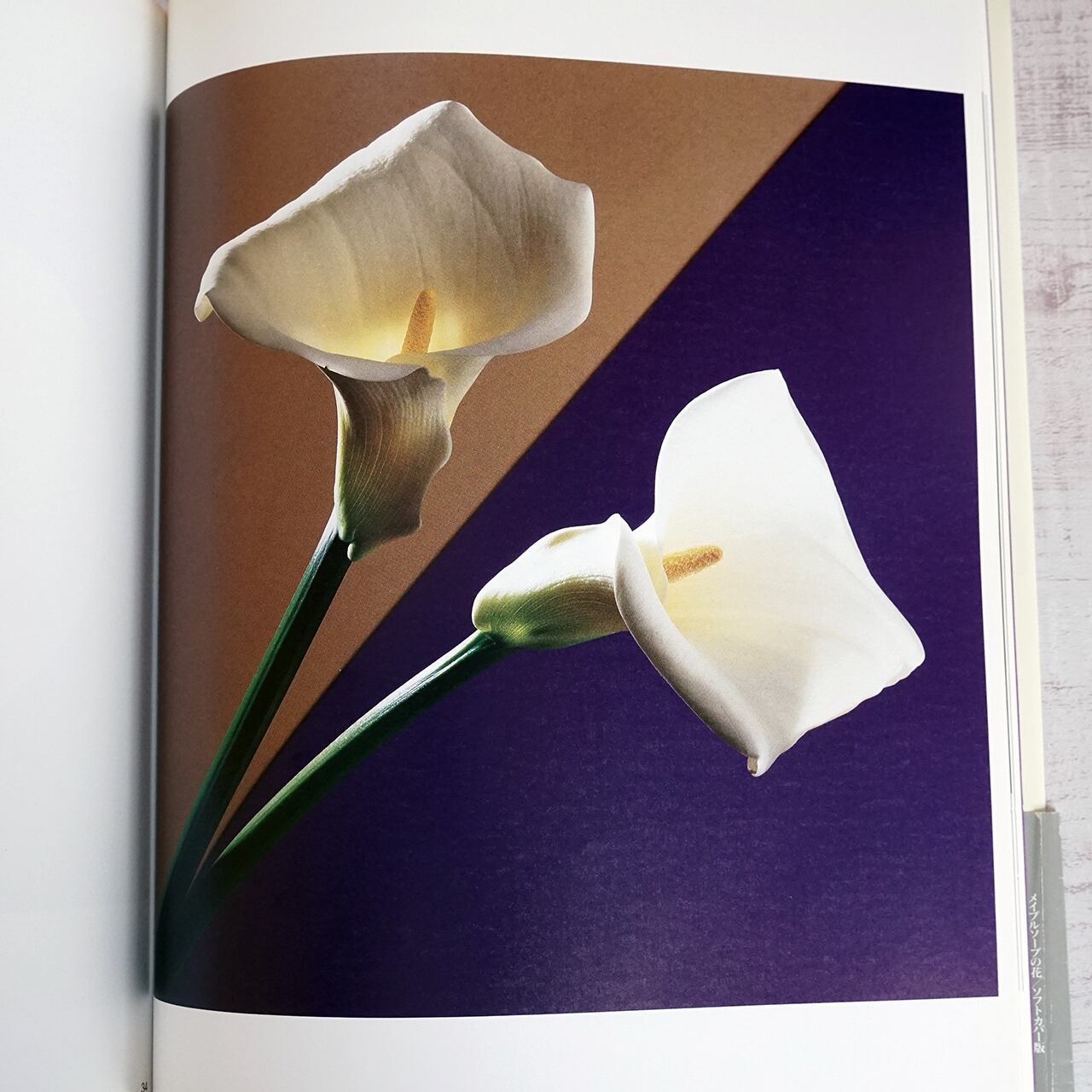 00024c67f13d20eeed0a31233bc8fc