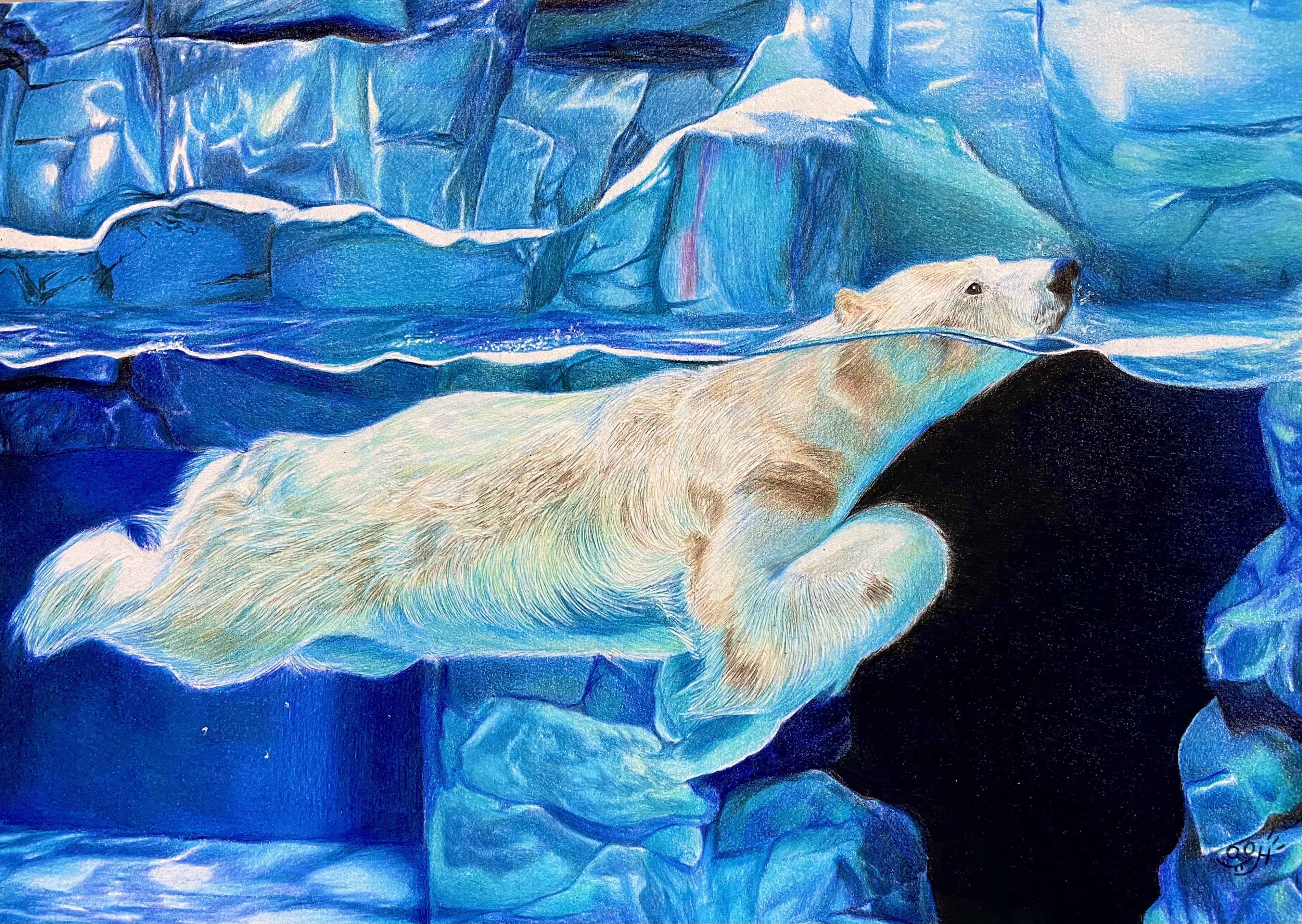 しろくま 北極クマ クマ 白 絵 原画 絵画 イラスト 水族館 海 水