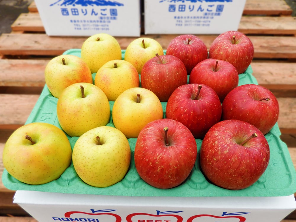 00d08854505657368f5e5811428605