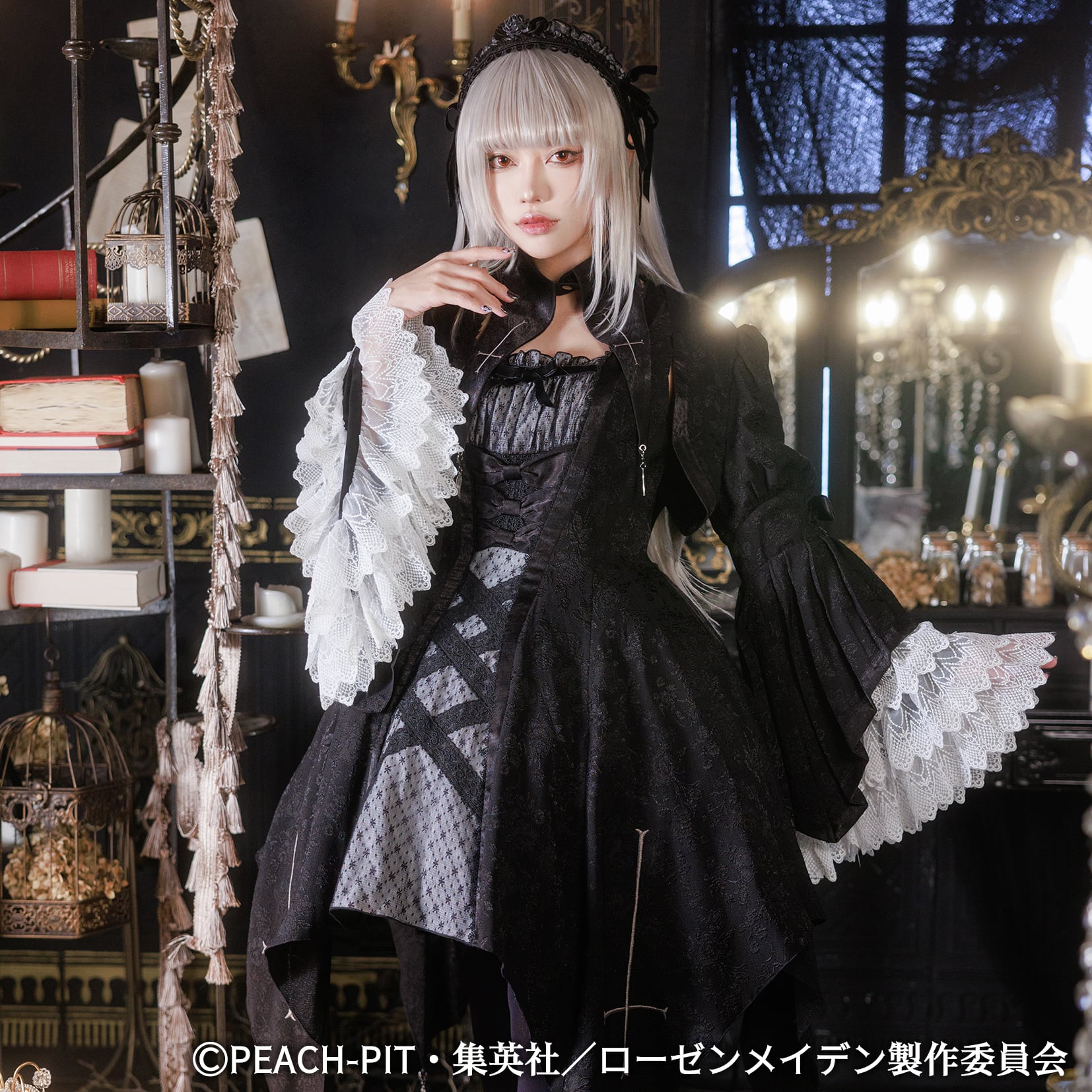 ローゼンメイデン~Rozen Maiden~ | HoshibakoWorks