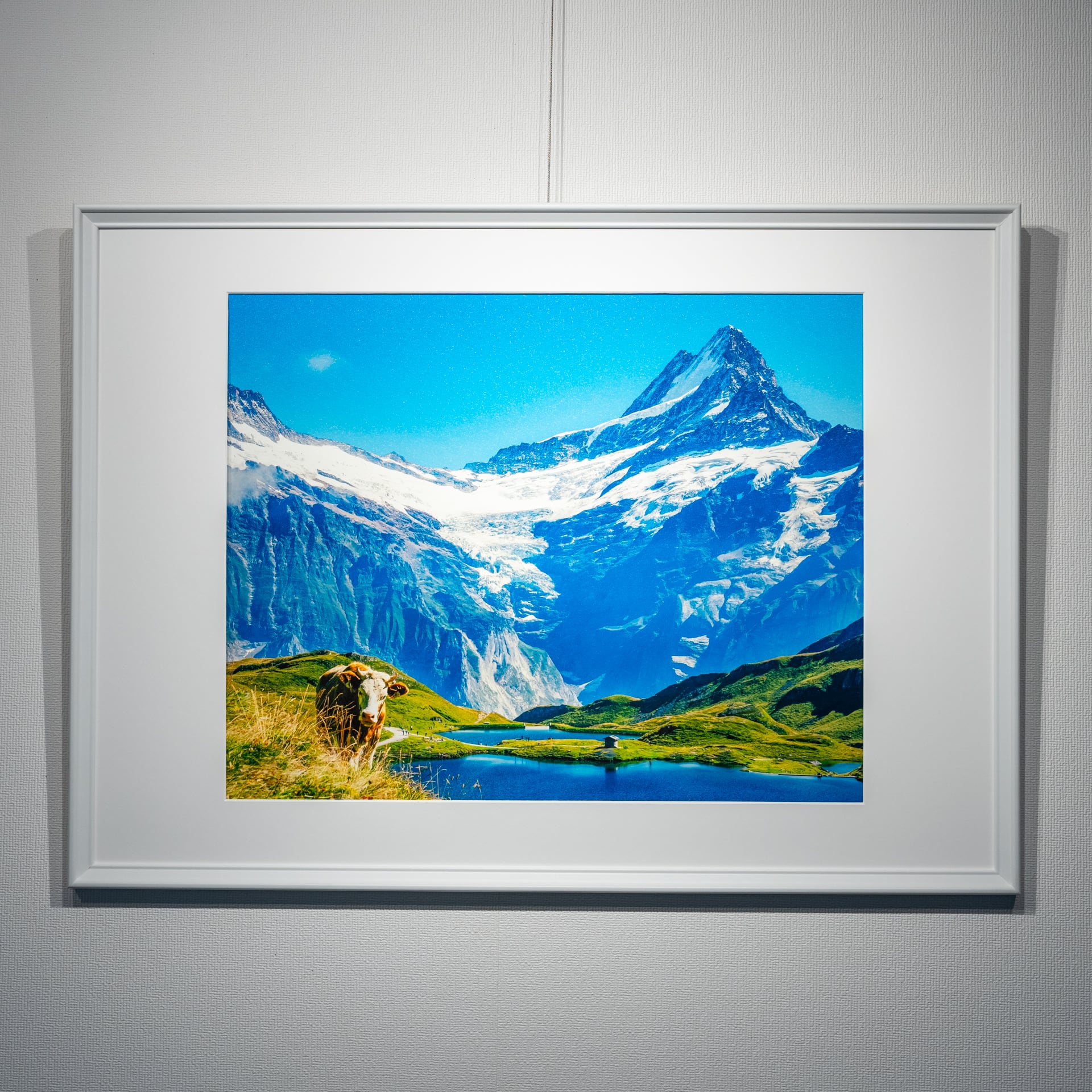 プリント写真（スイス編）】『牧歌的なスイスアルプス』 | yamagraph