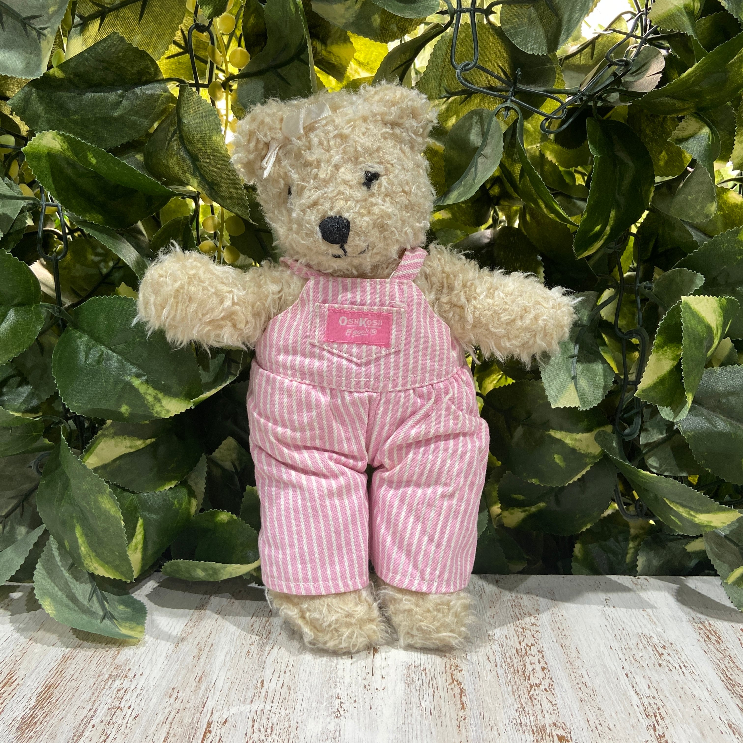 OshKosh B'gosh☆テディベアちゃん☆オシュコシュビゴシュ☆ストライプ