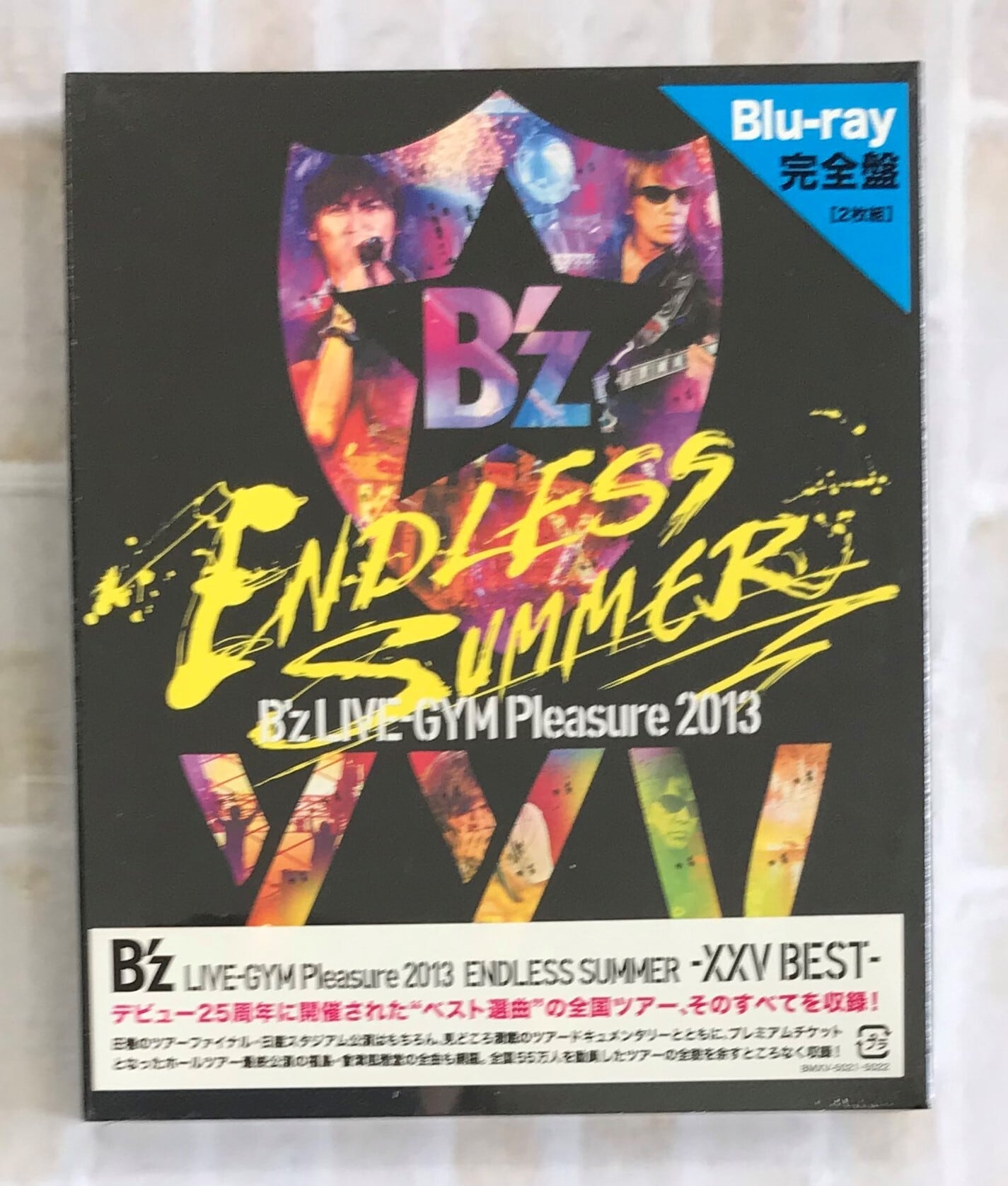 B'z / B'z LIVE－GYM Pleasure 2013