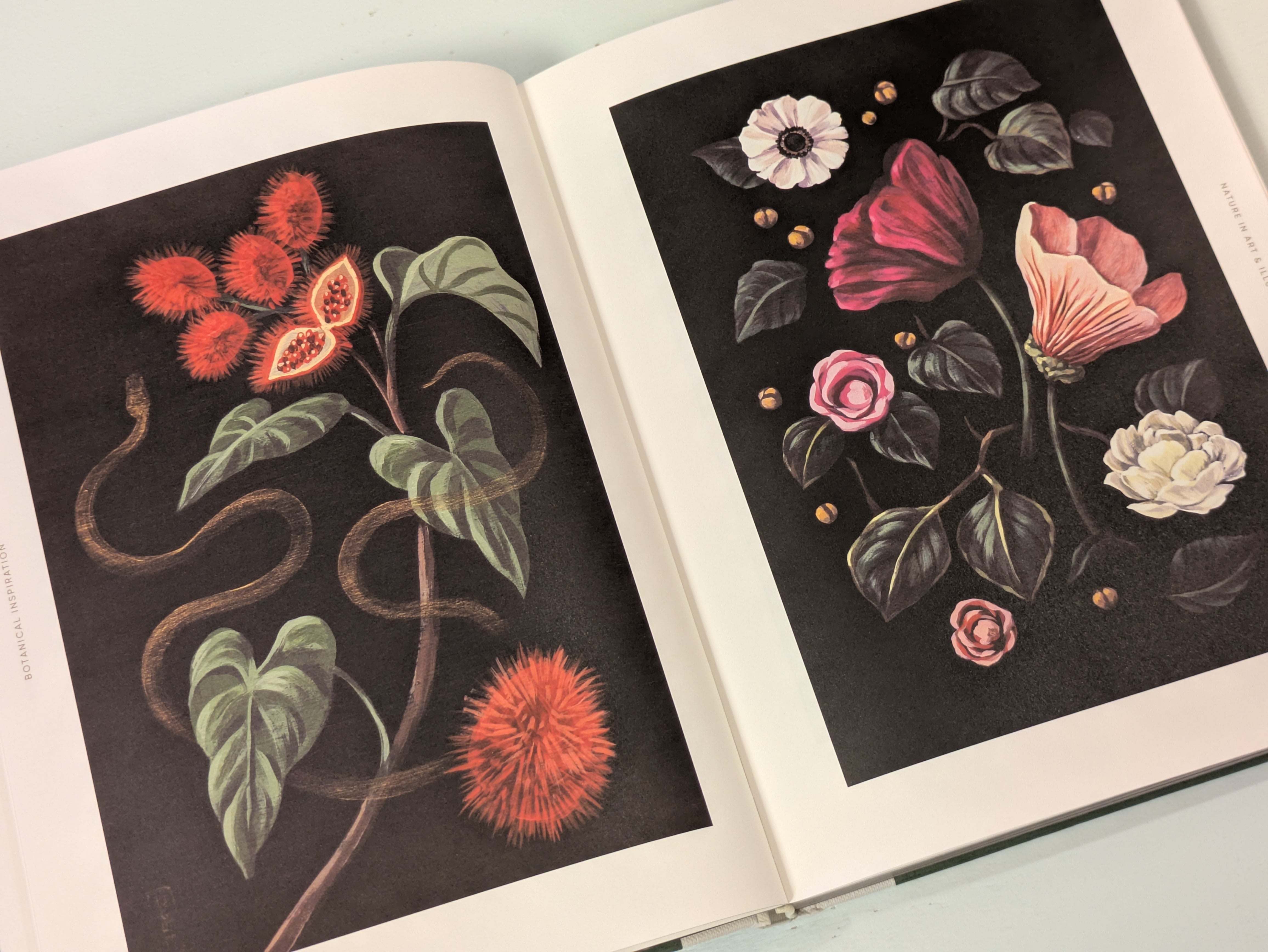 Botanical Inspiration : Nature in Art and Illustration
