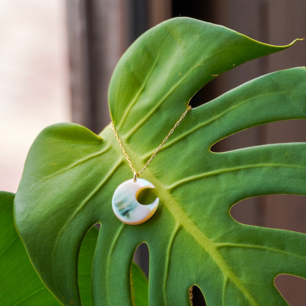 夜光貝 | Shelly coco -シェリーココ-