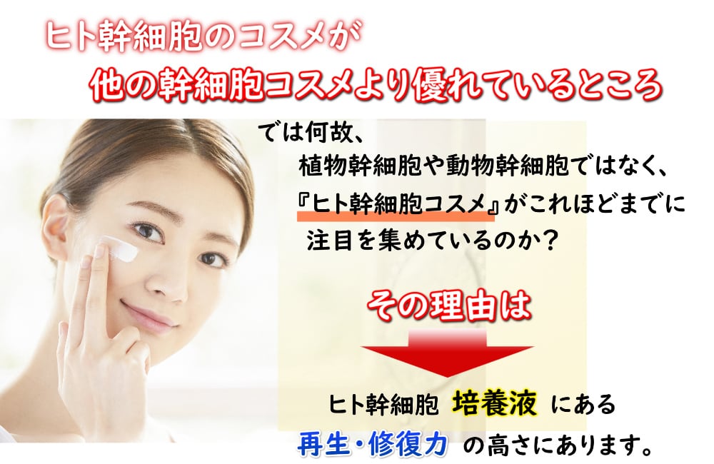 50％OFF！ レイズ アイバックリフト8g 目元ケア美容液 EGF FGF TGF