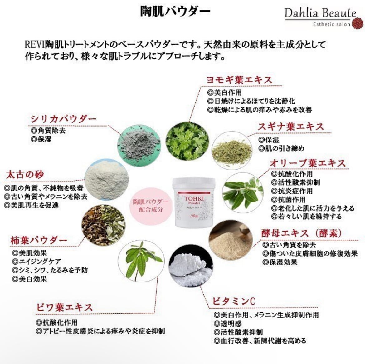 REVIハーブピーリングスターターキット | Dahlia Beaute