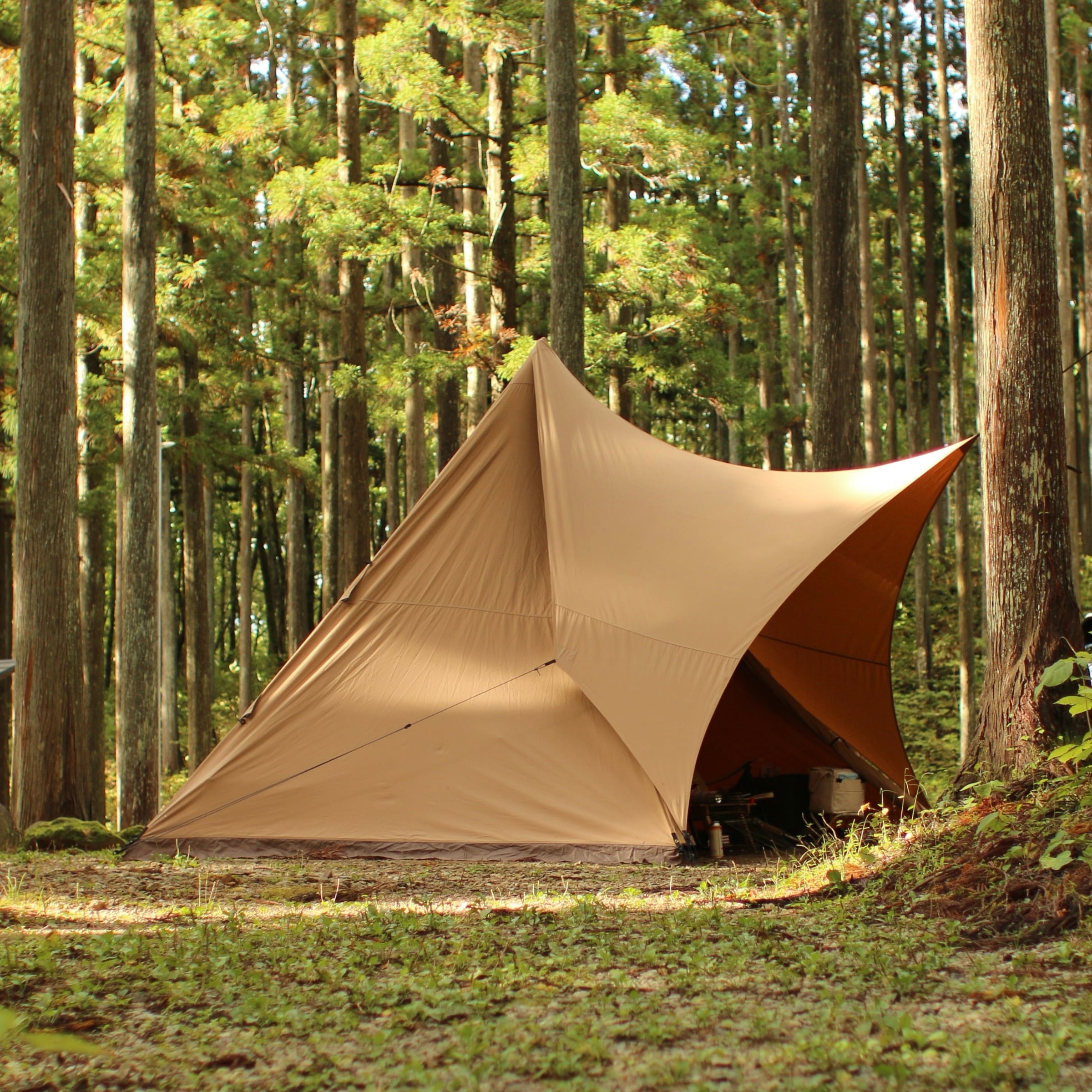 テンマクデザイン サーカスTC シルス280セット tent-Mark DESIGNES