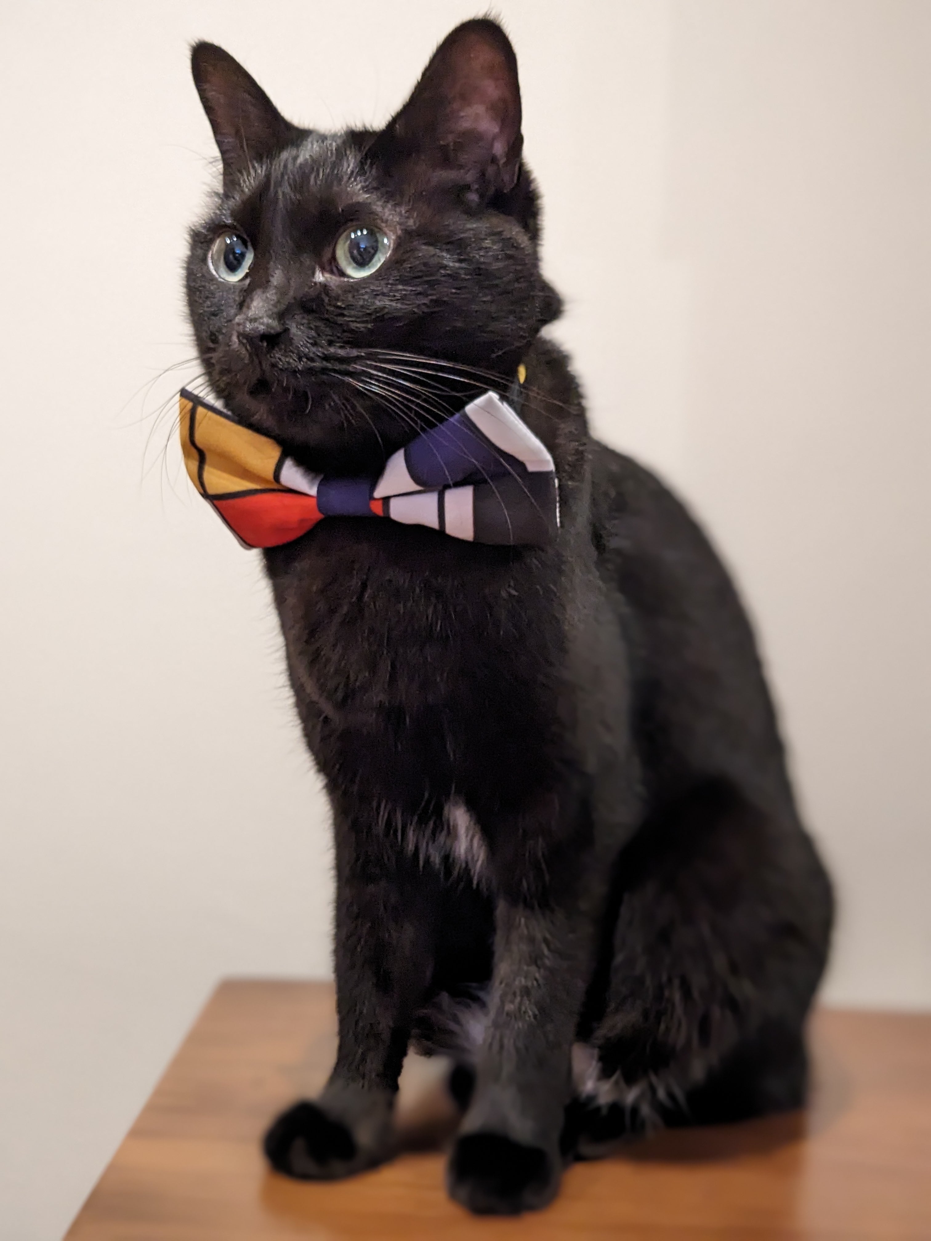 ペットと飼い主おそろい【蝶ネクタイ】犬・猫 モンドリアン クリムト