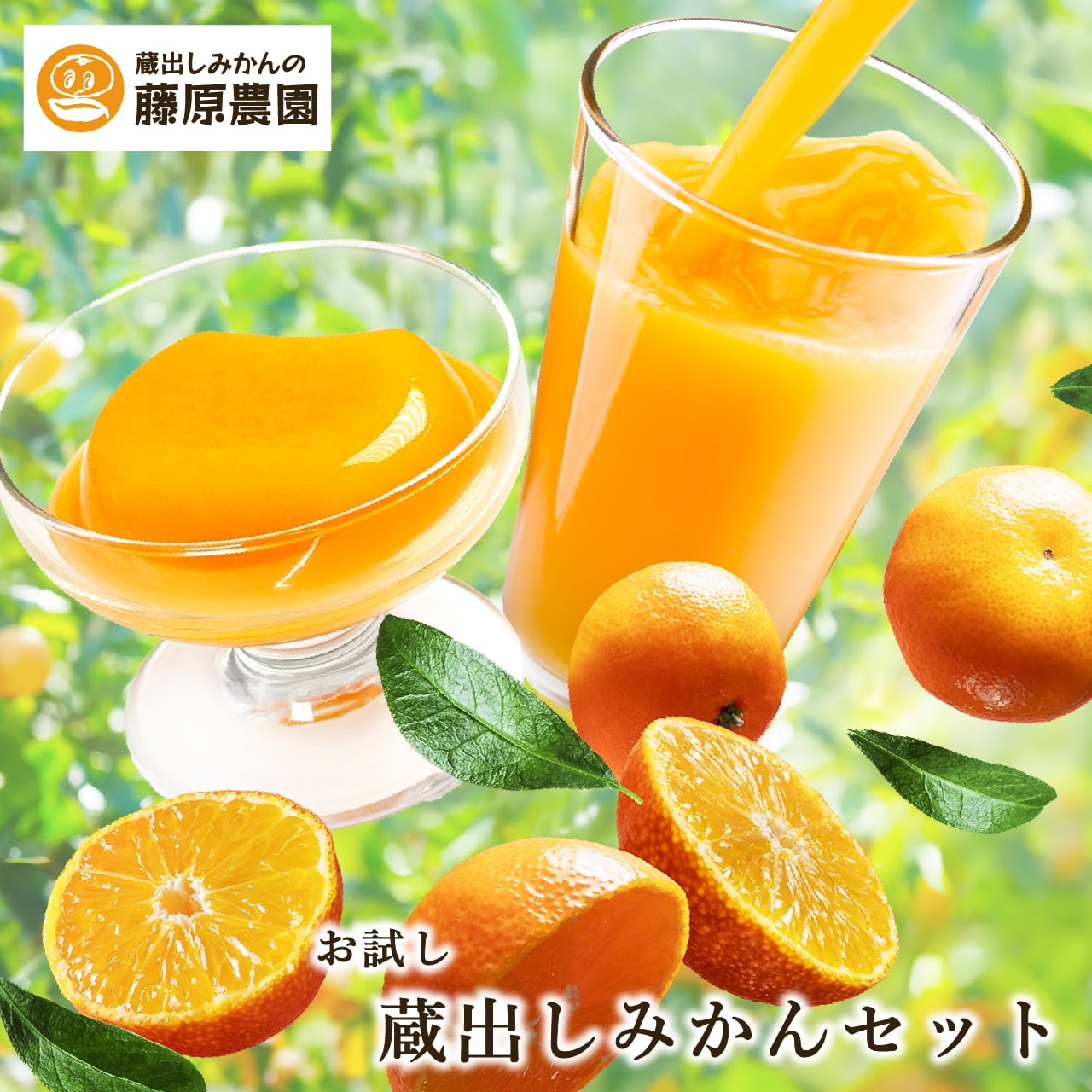 お試し蔵出しみかんセット｜ジュースとゼリーが楽しめる人気商品