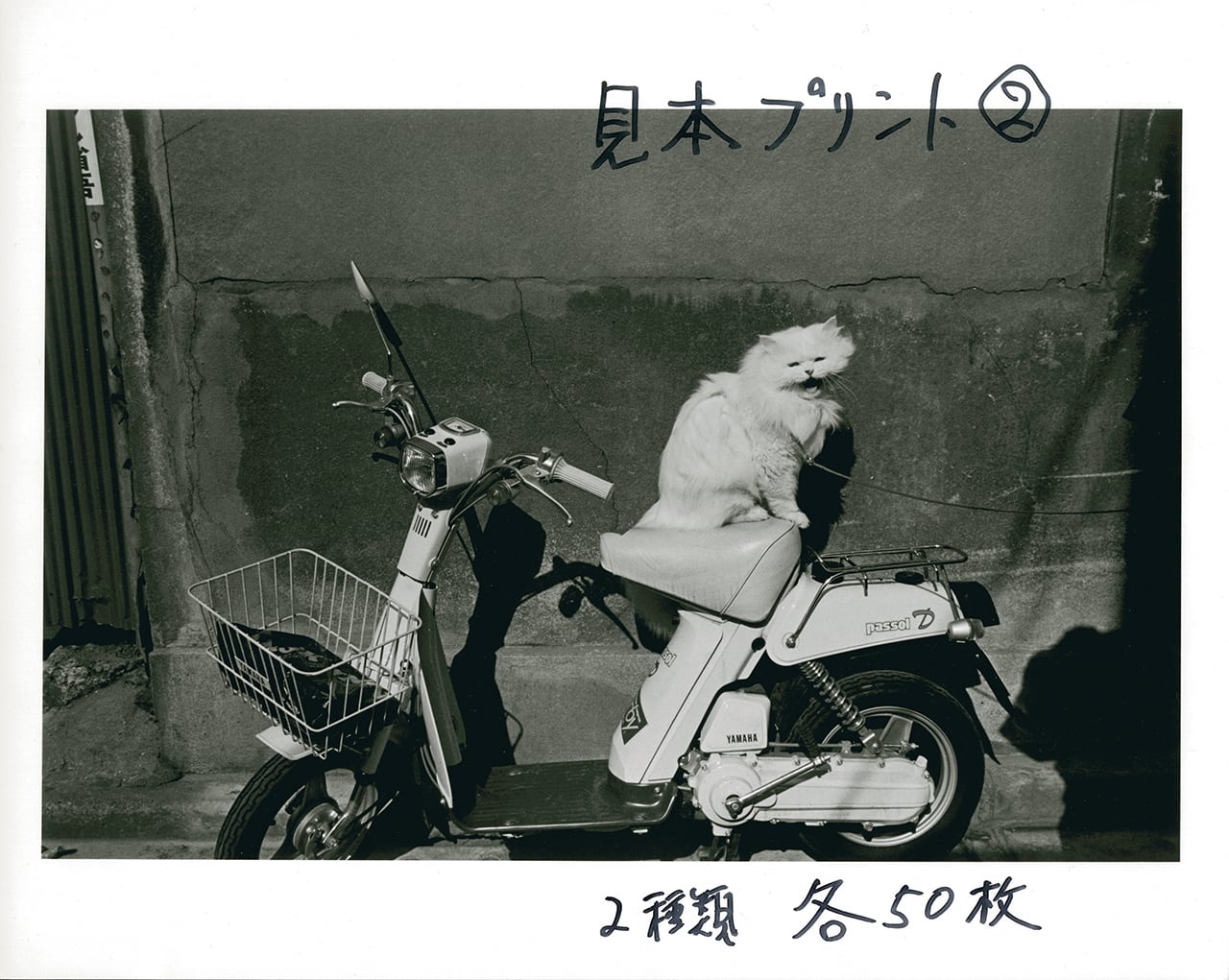 須田一政 Issei Suda 写真集「角の煙草屋までの旅」特装版 | Place M