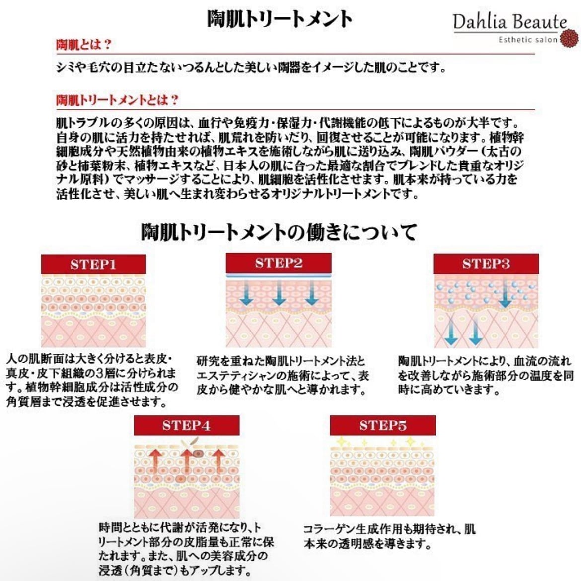 REVIハーブピーリングスターターキット | Dahlia Beaute