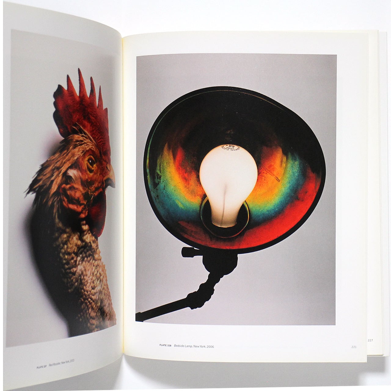 Irving Penn: Beyond Beauty アーヴィング・ペン：ビヨンド