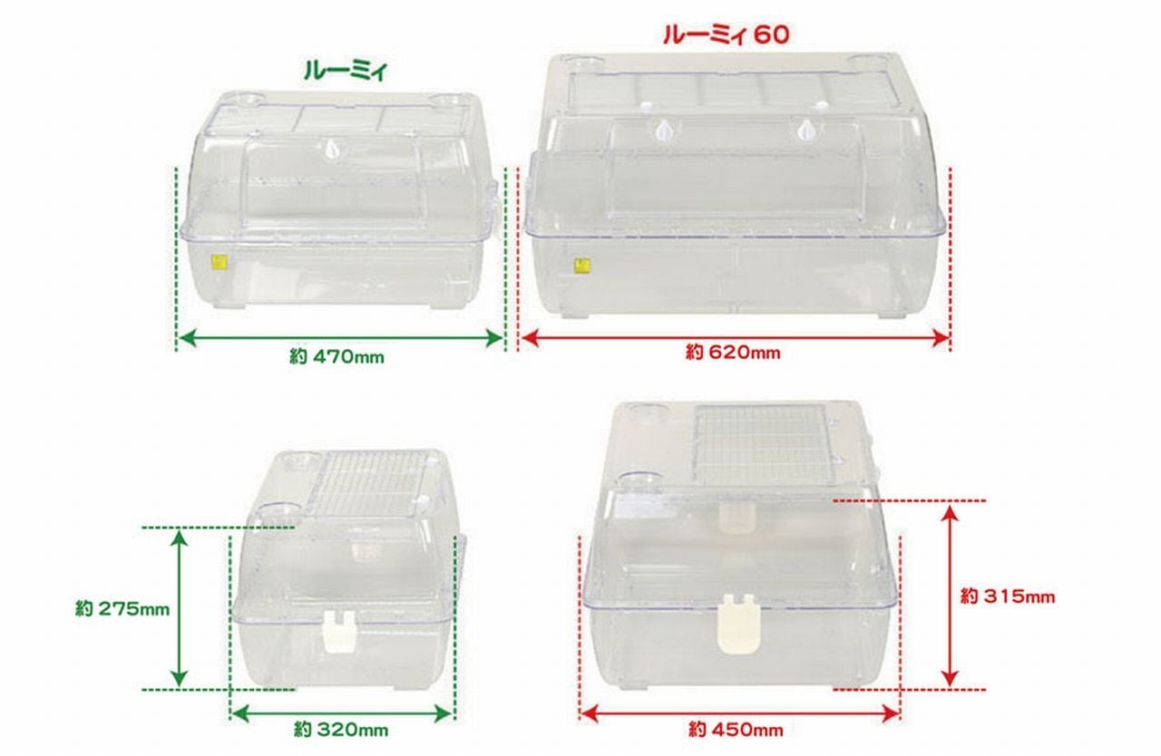 三晃商会】 ルーミィ60 ベーシック | MIRAI-UP Bird+