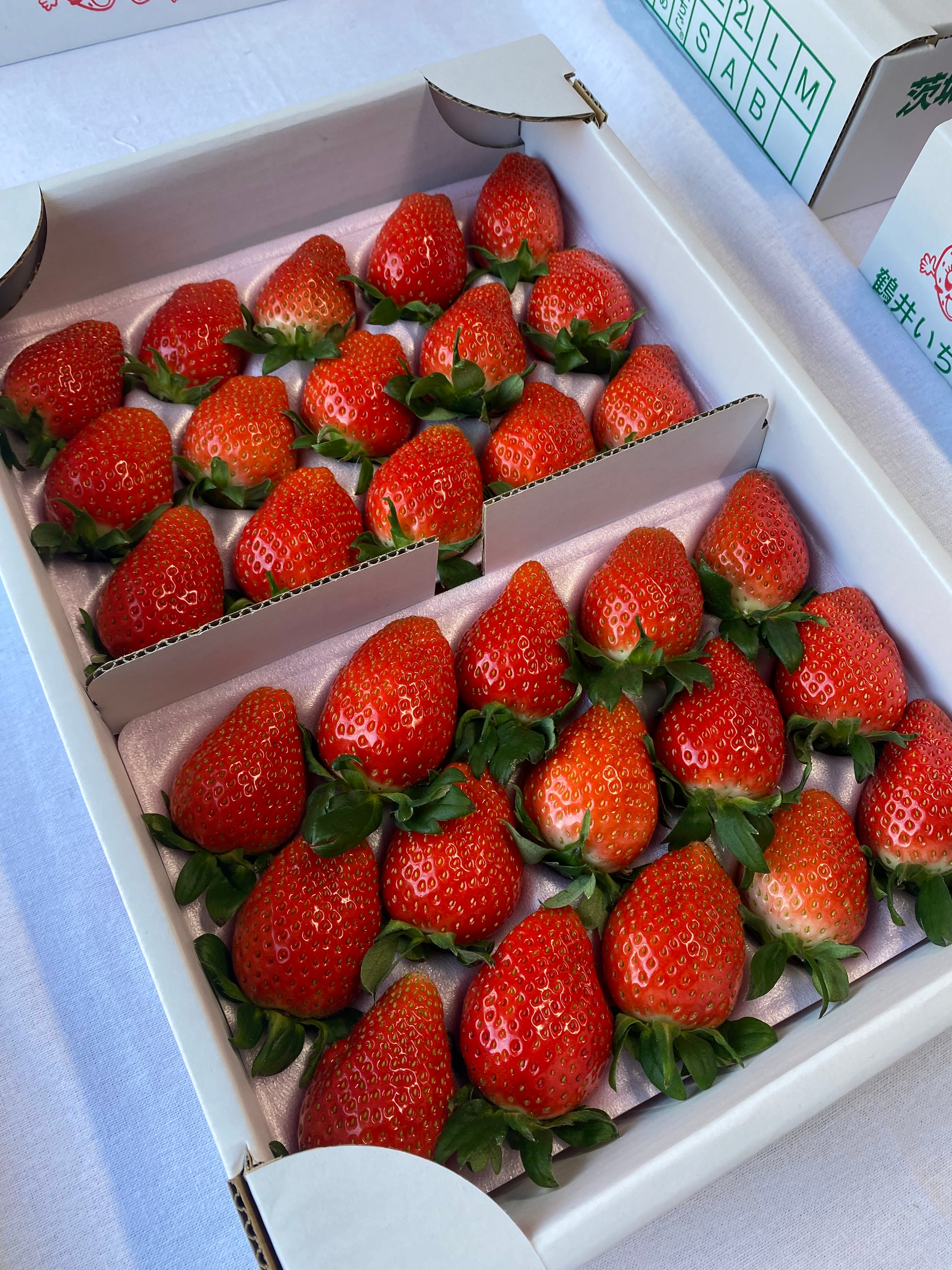 0953bc1b0d7e25987c55e64c04a780