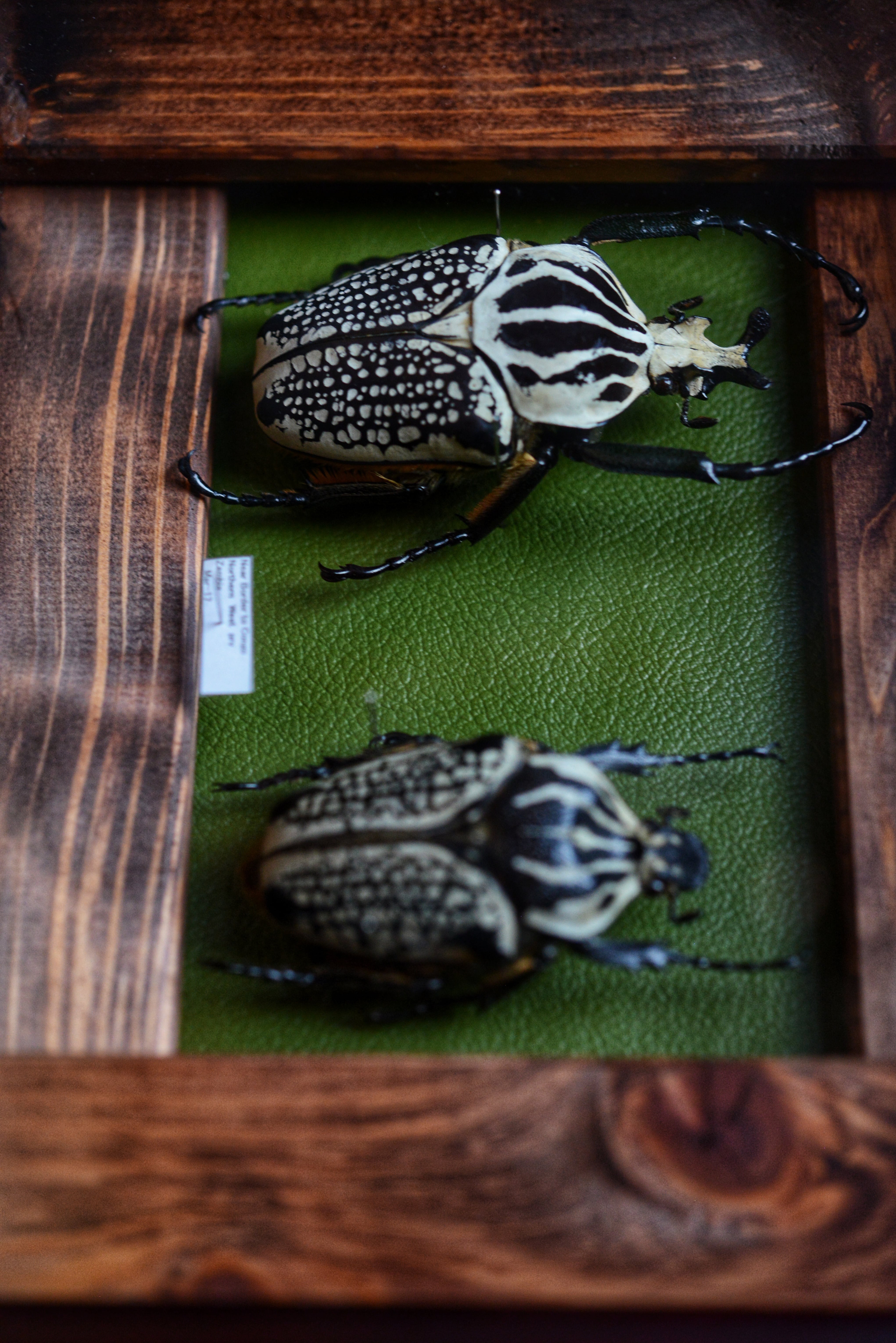 0a2664fc5f432ba8292bfb15172aaf