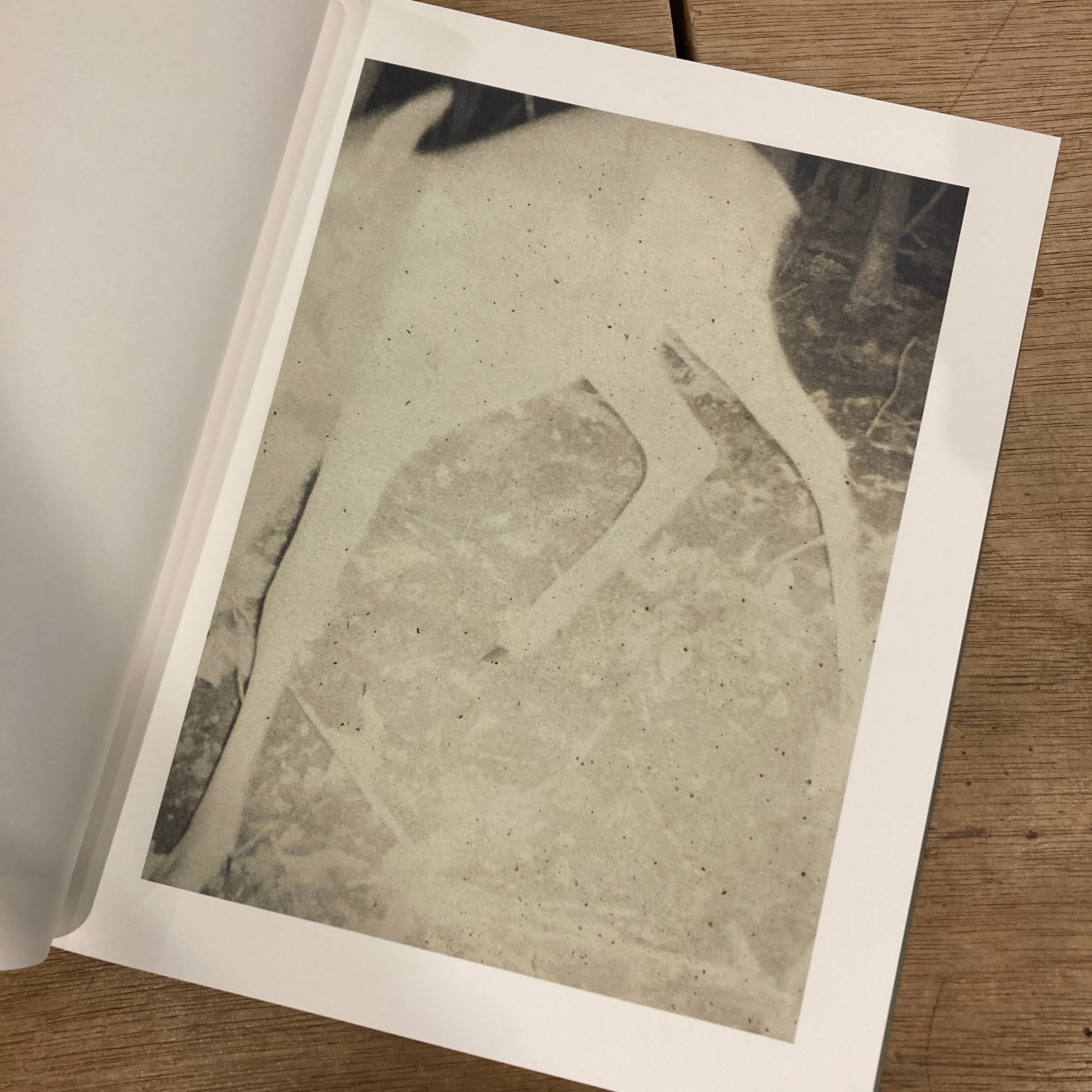 Night Procession [signed] Stephen Gill / スティーブン・ギル | 百年