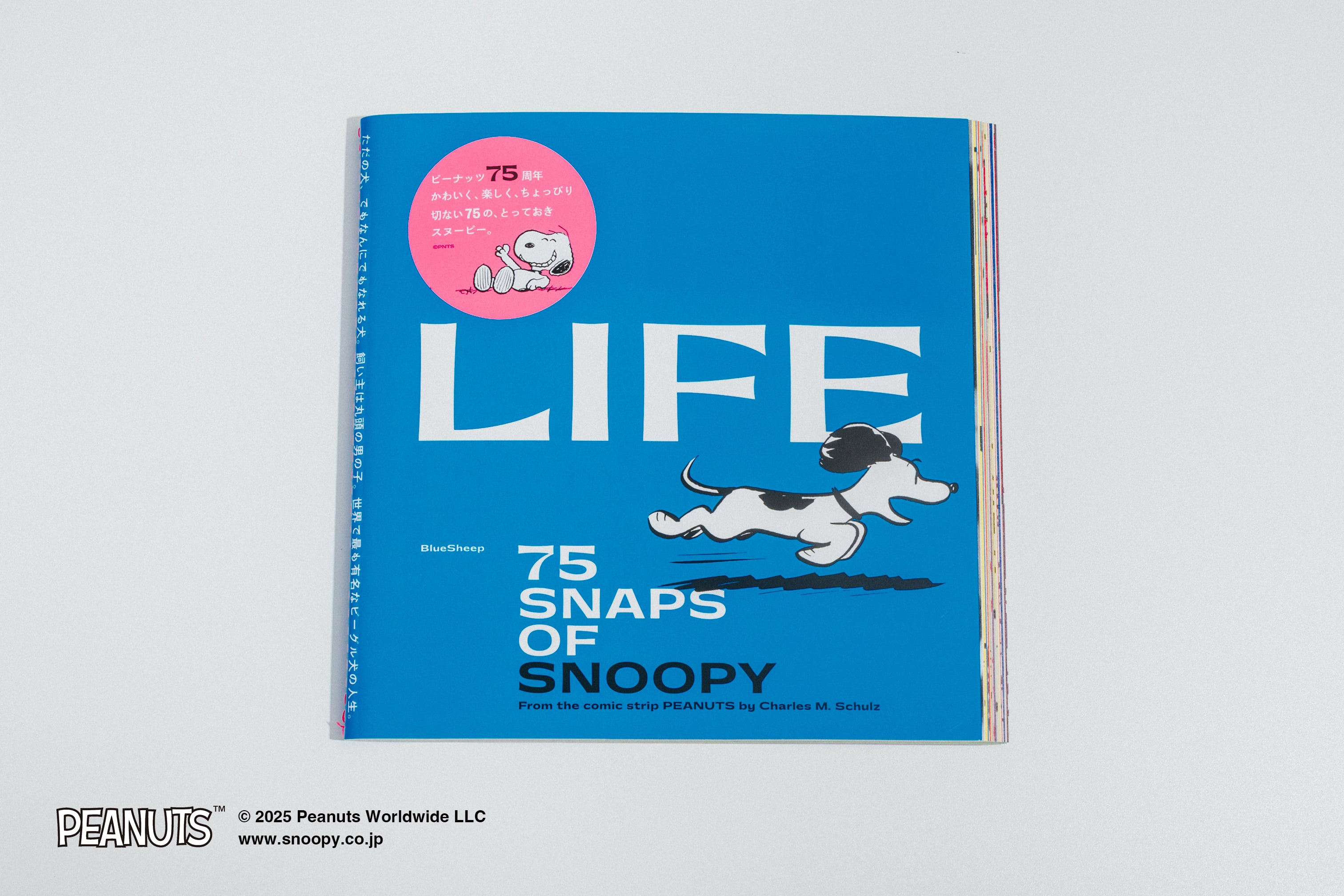 0a421b95756923f89d3030923edbb9