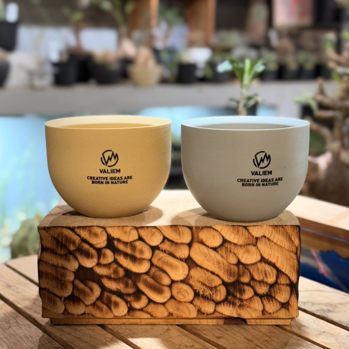 植物鉢】新色！【植物鉢】 Valiem GHOST（BOWL / Sサイズ）単品