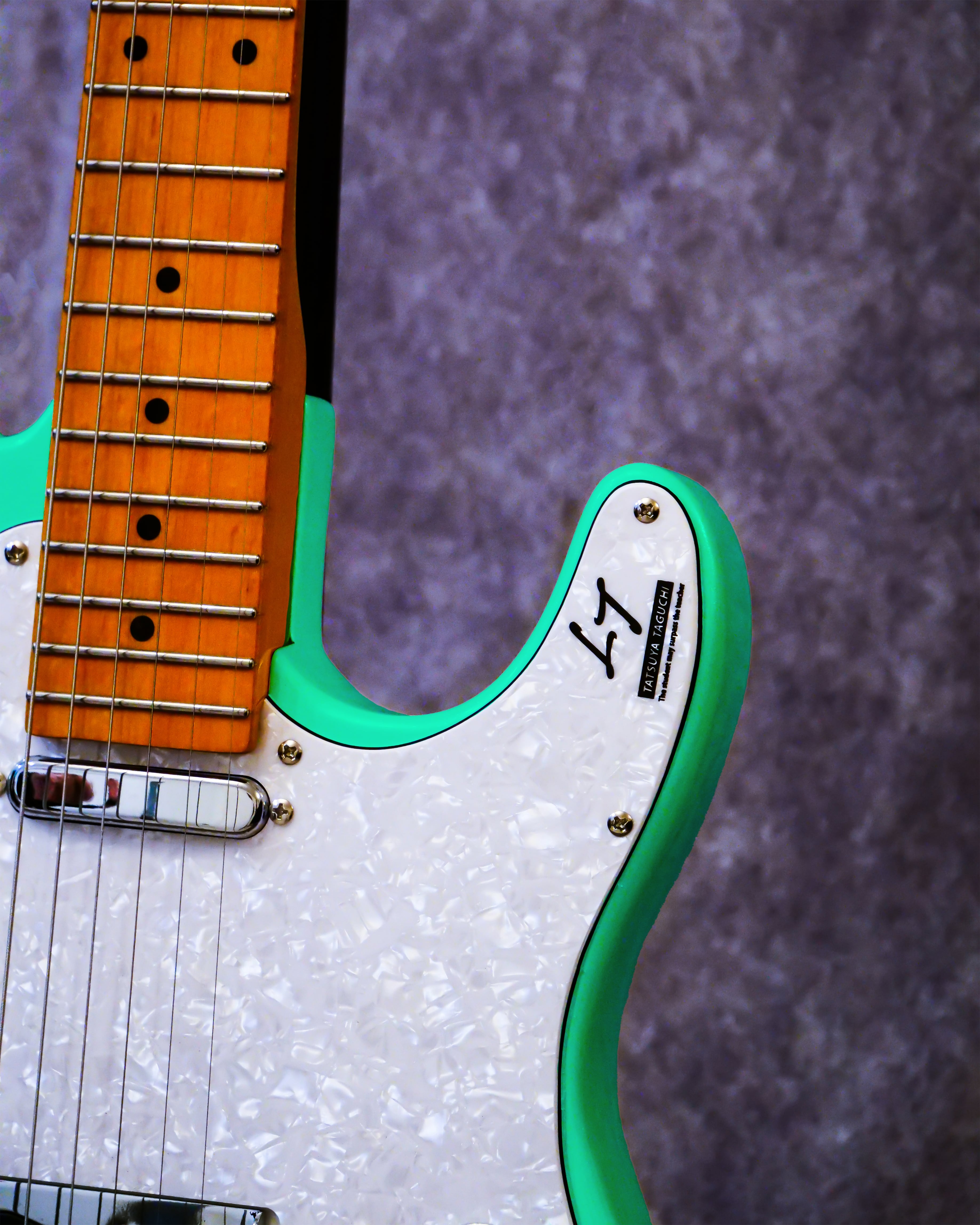 50本限定】田口達也オリジナルギター