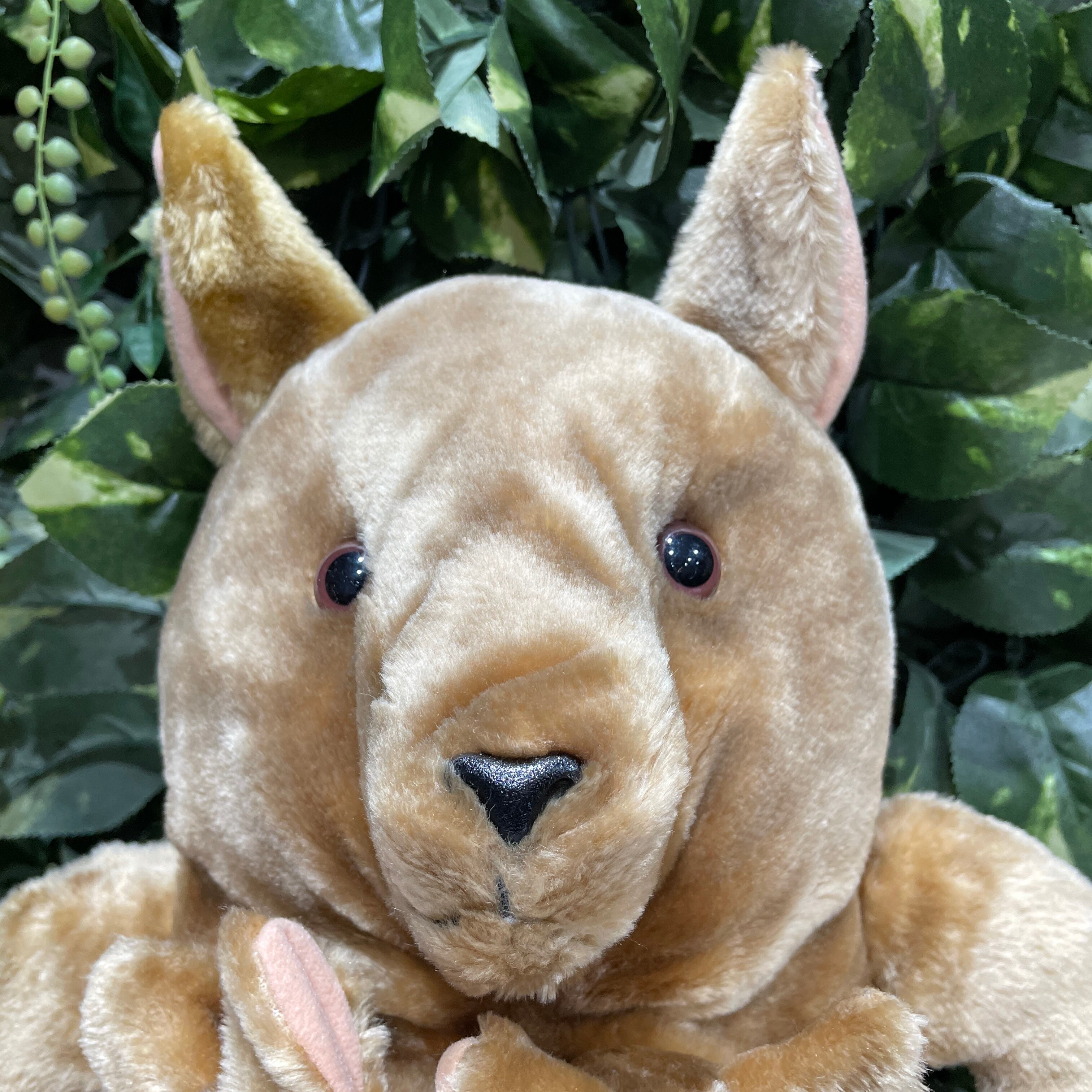 ⭐︎カンガルー母さん⭐︎双子の赤ちゃんママ⭐︎大きいサイズ