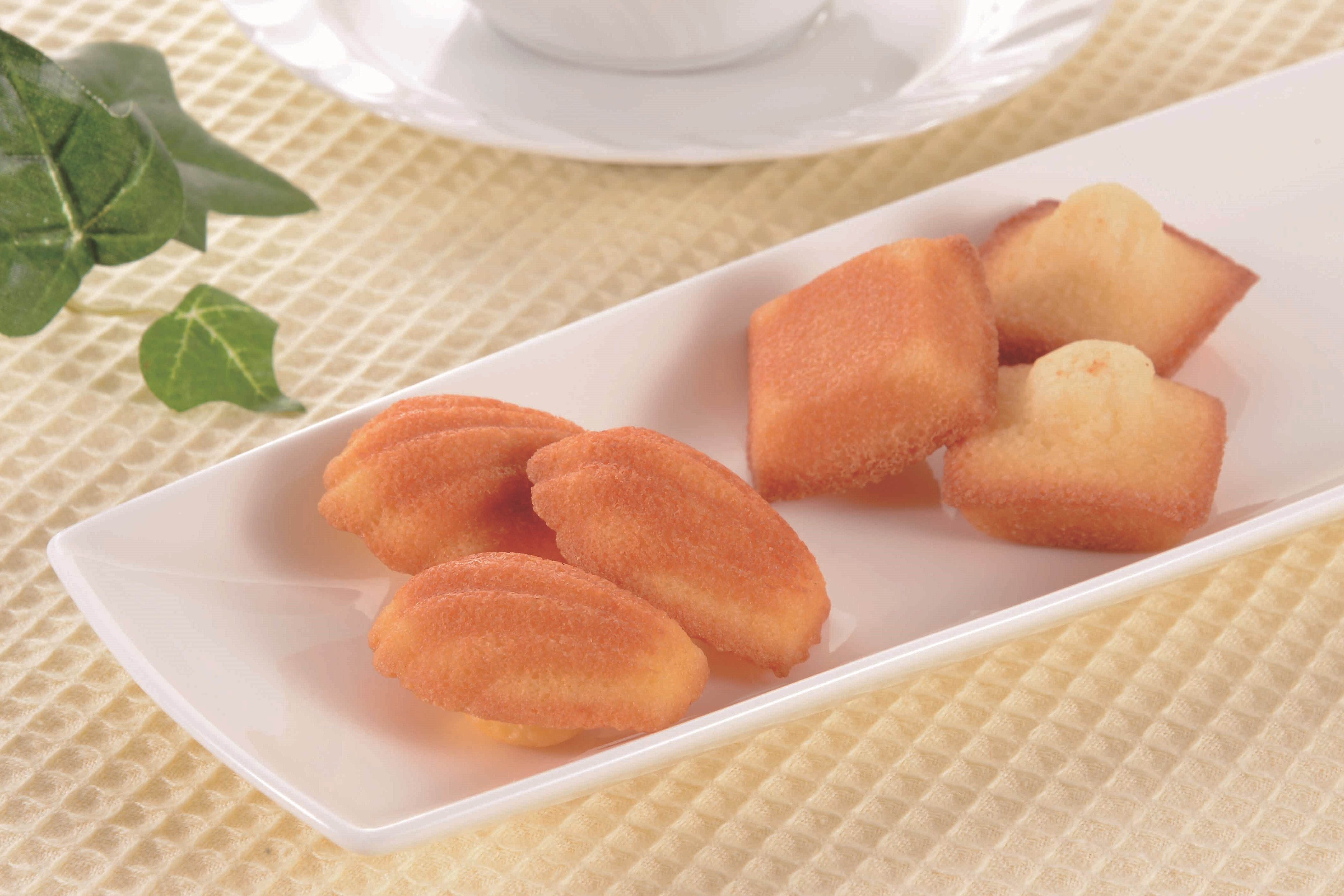 プチフィナンシェ＆プチマドレーヌ 30個＋30個 FM-60 | やきかまの