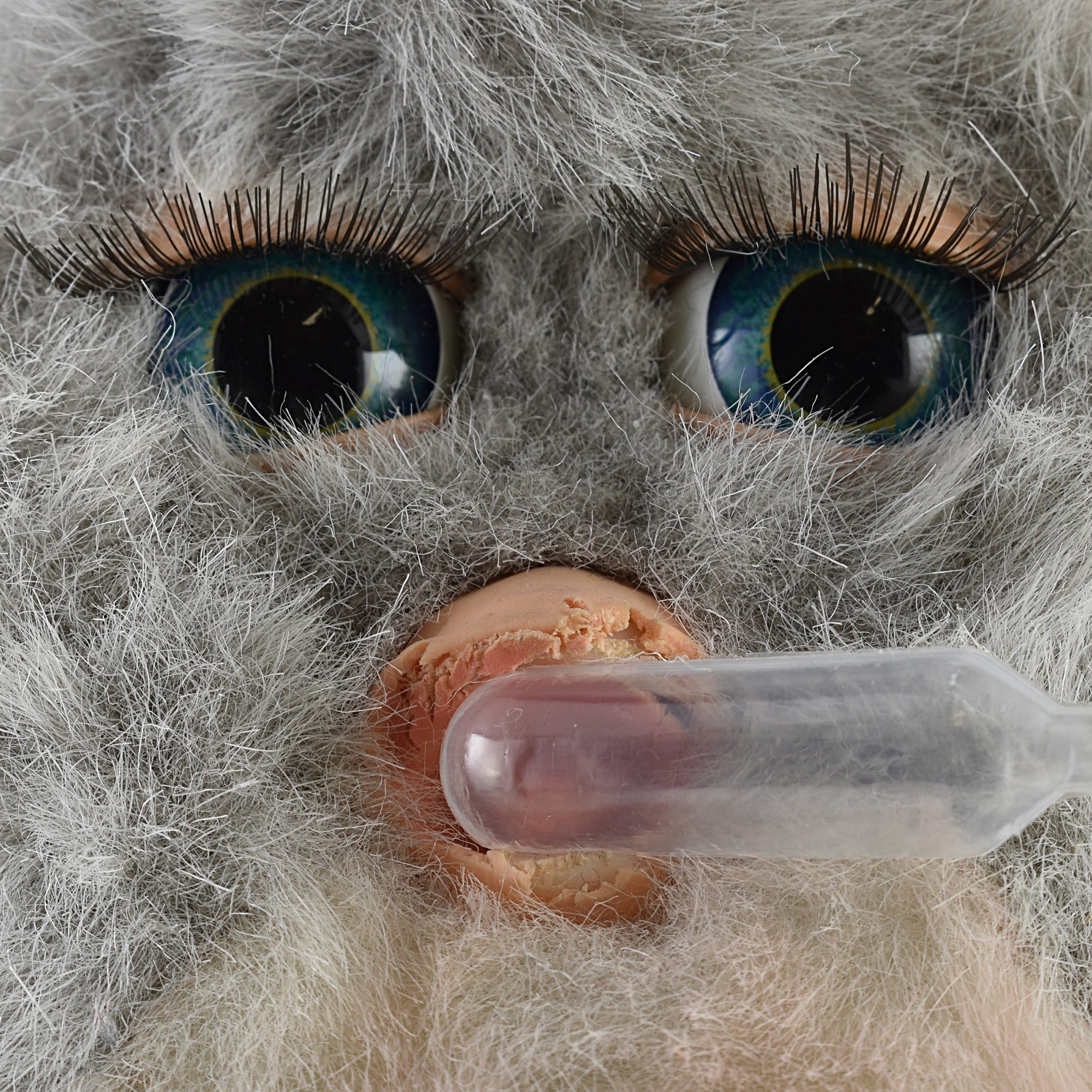 ファービー2 クラウディピーチ 青目 | ROBOTROBOT