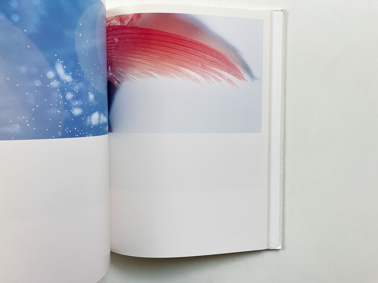 川内倫子 Rinko Kawauchi | AILA | 翠ブックス | suibooks | 古書古本