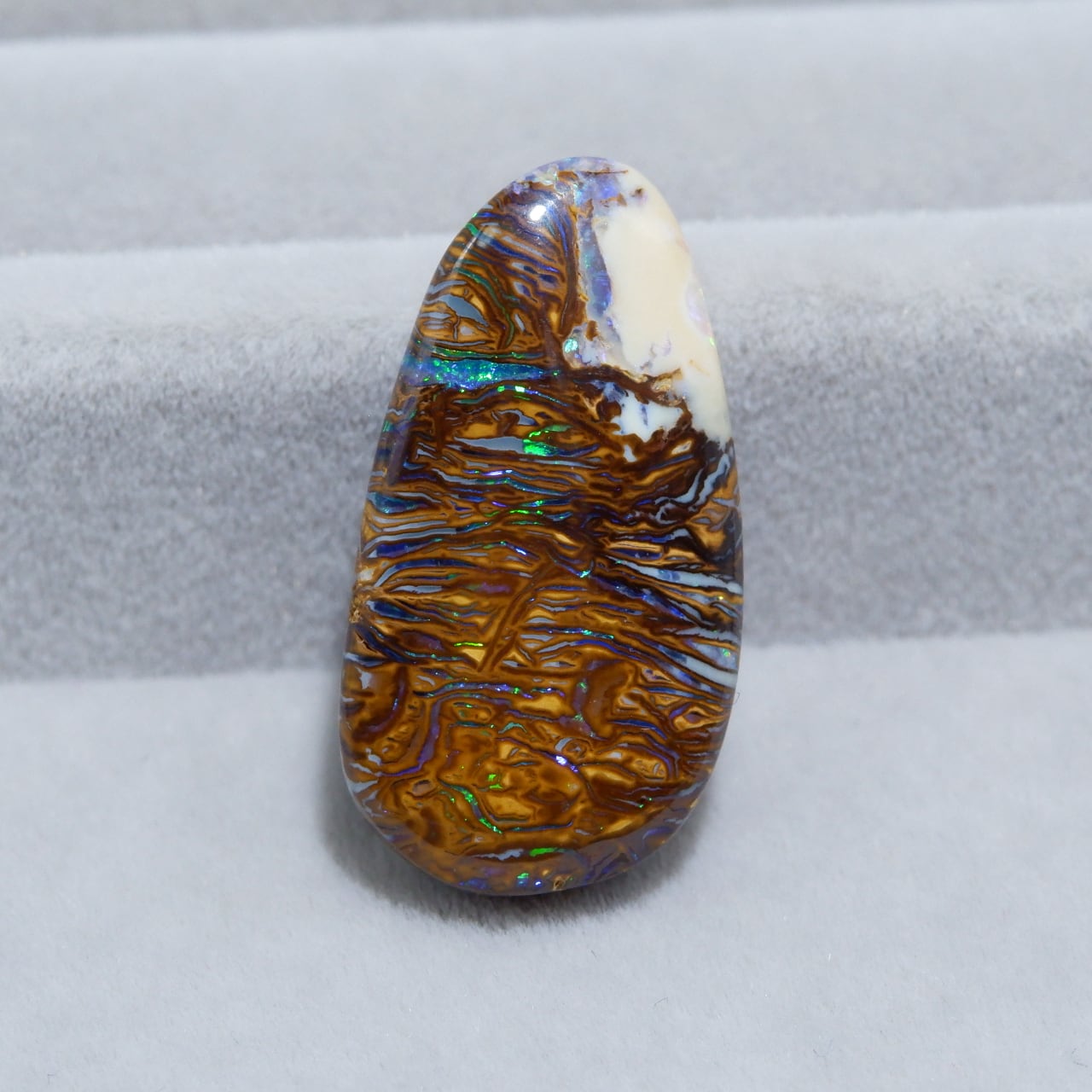 ピクチャーオパール 563-P-161 | 洋灯舎