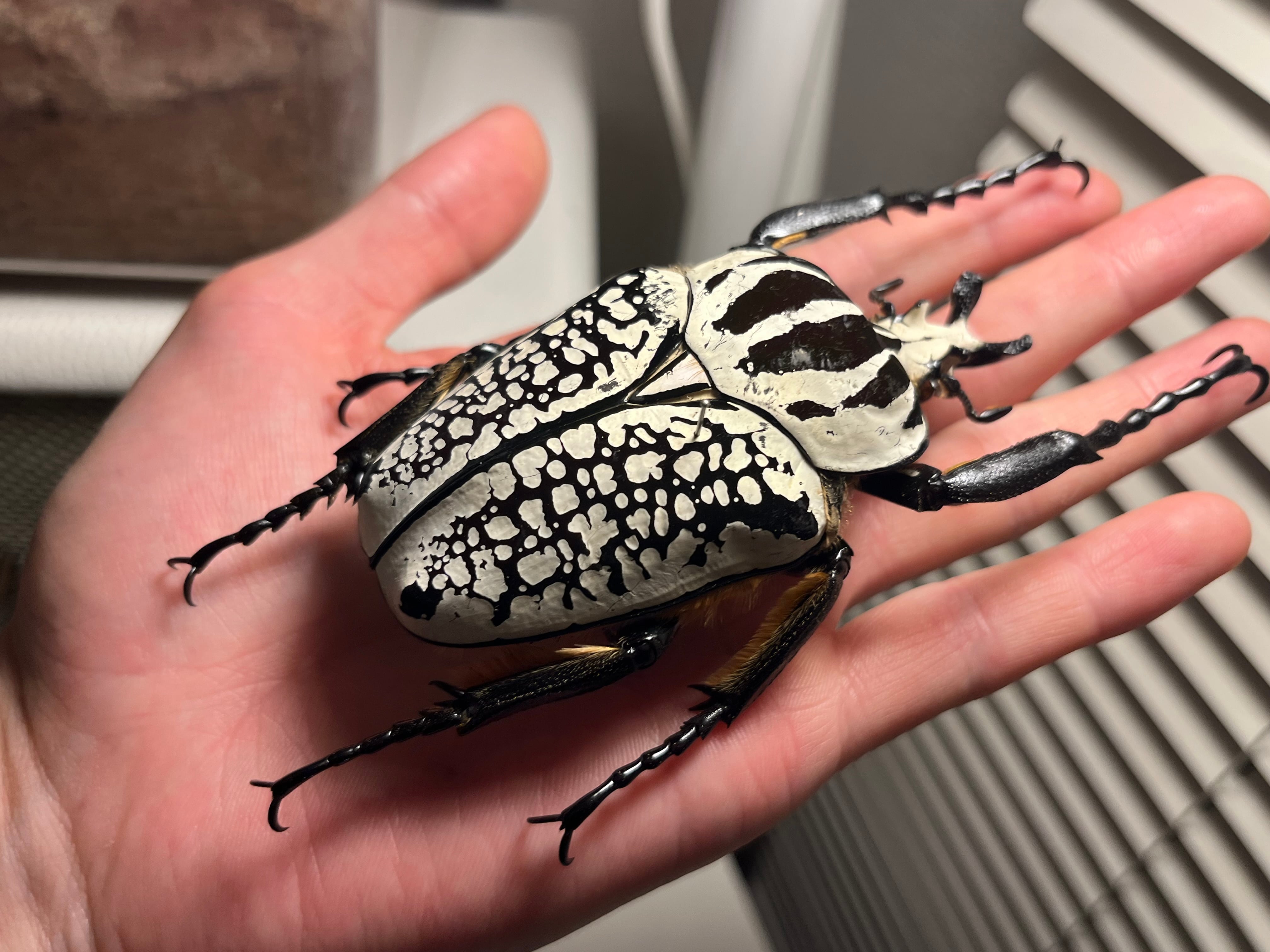 1067e511a8da8b9bf44334348bb509