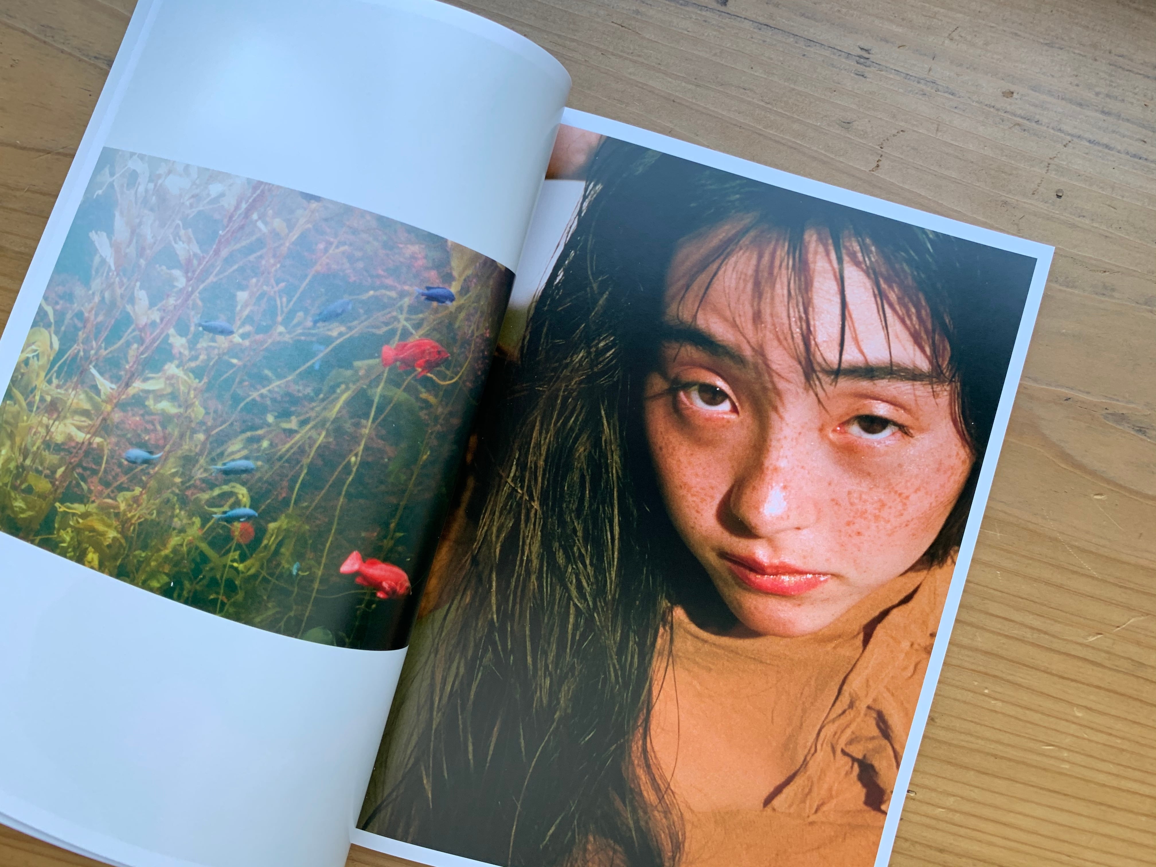 サイン入り】YOKO KUSANO / MOTOLA SERENA | STANDARD BOOKSTORE