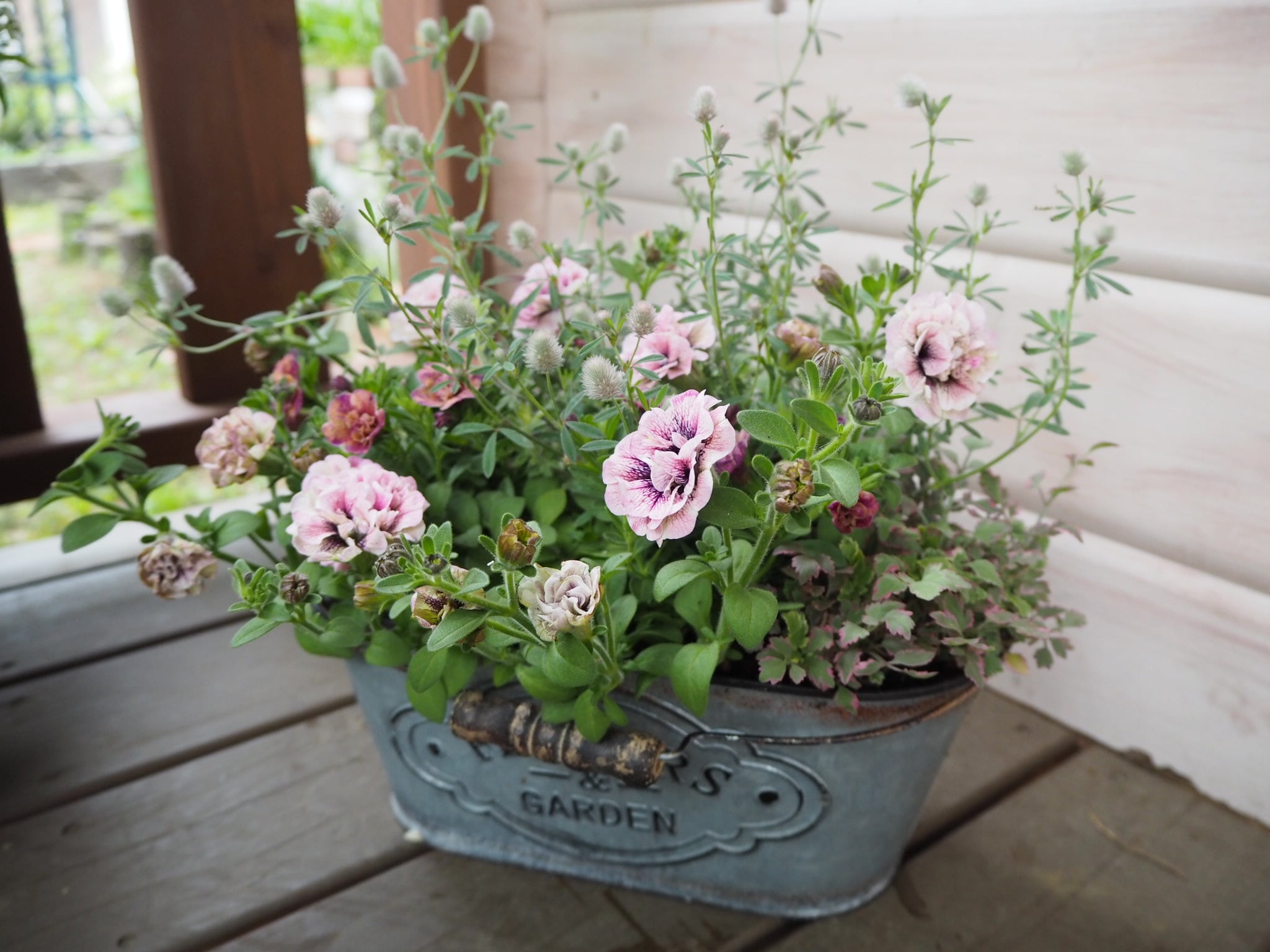 母の日に＊八重咲きペチュニアの大人ピンク寄せ植え | hananokoya*gnome