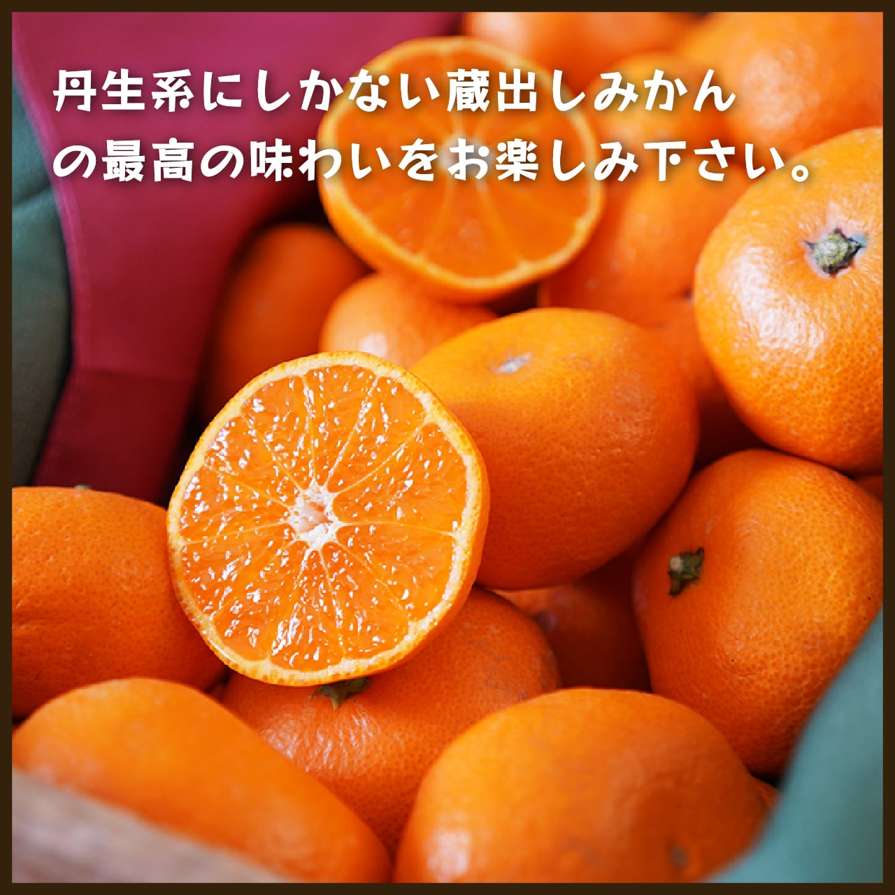 蔵出しみかん丹生系10kg 一級品(送料無料)｜和歌山県海南市下津町の