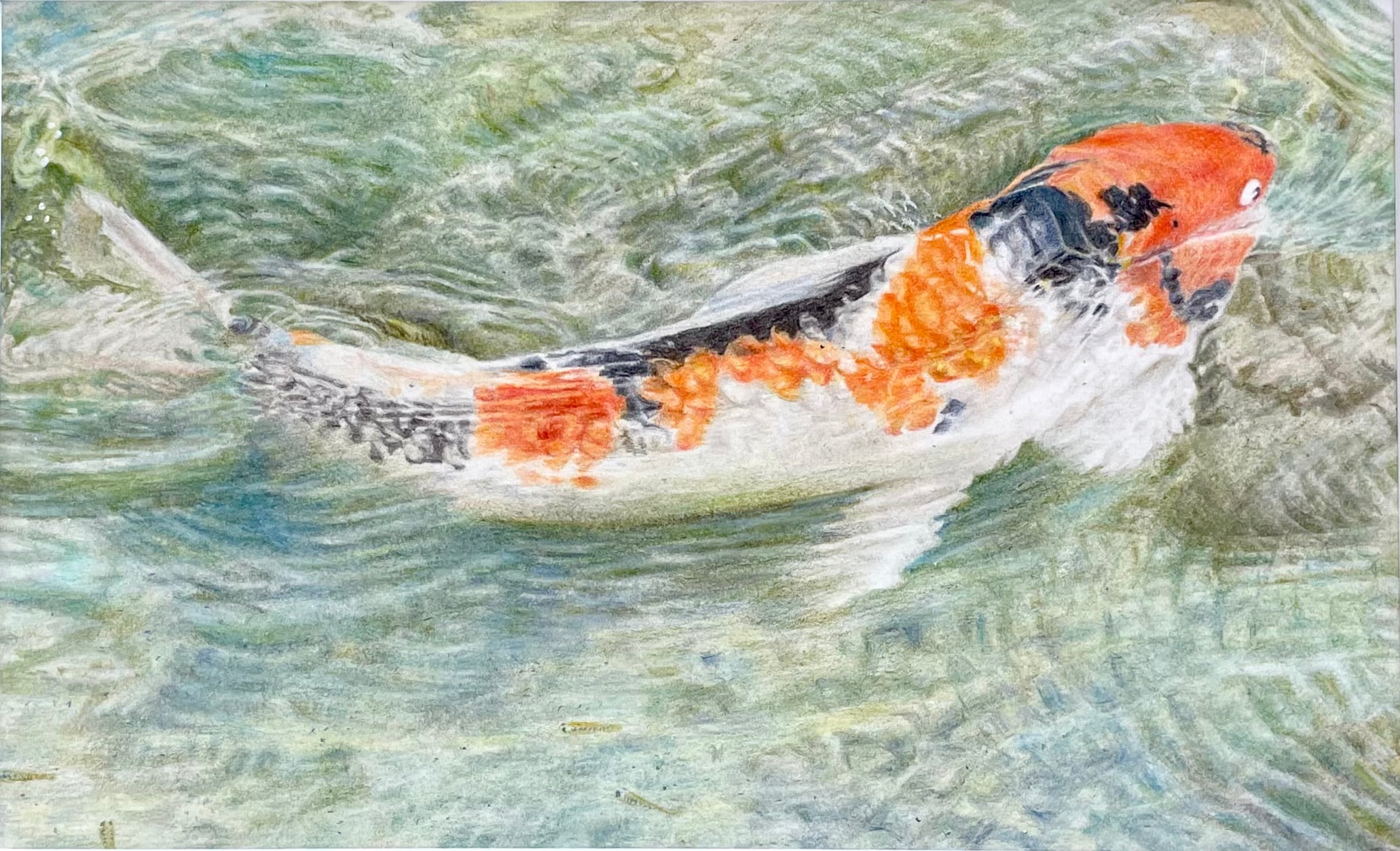 鯉【原画】 | SWALLOWTAIL