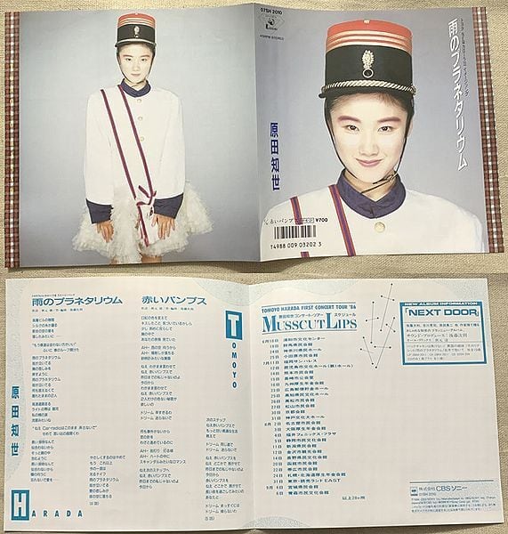 原田知世 / 雨のプラネタリウム 黒盤 | soul respect records