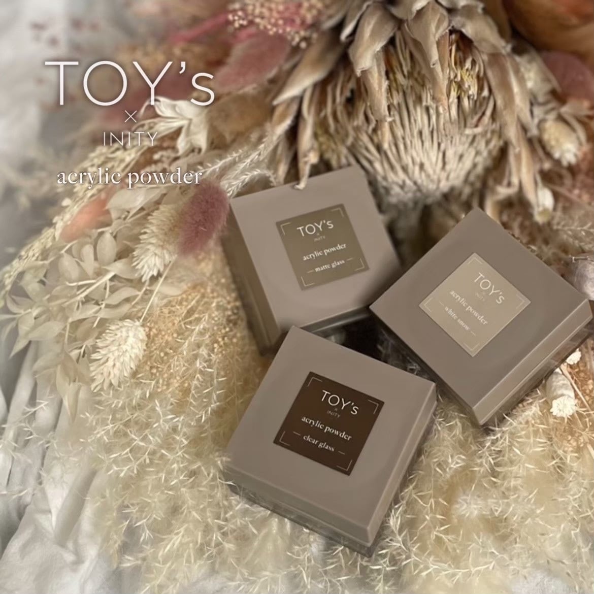 TOY's × INITY アクリルパウダー | wiz -original-
