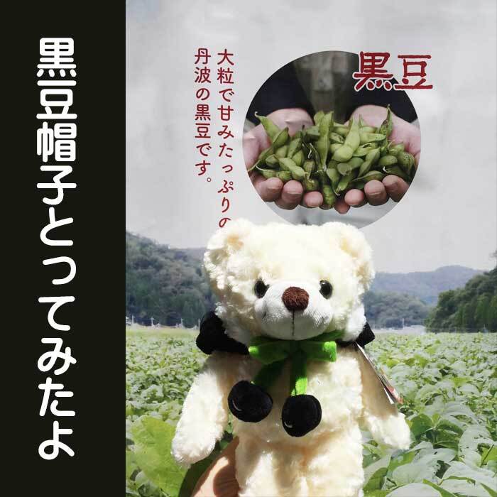 京丹波黒豆ベア （ホワイト）Mサイズ 【京都限定】【第3弾】 | 道の駅