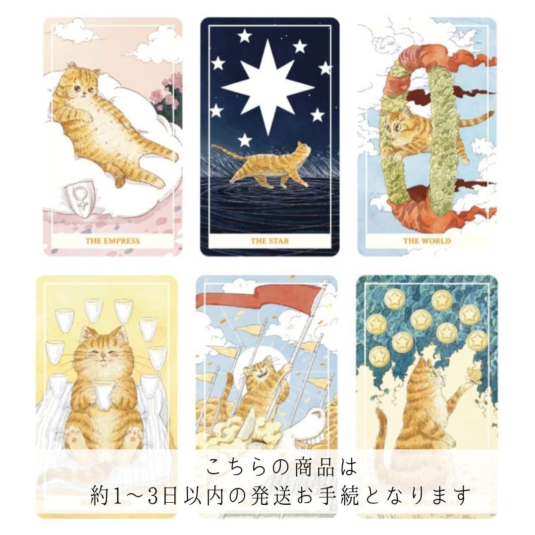 約1〜3日以内の発送お手続き】SUNNY PRO NYANCO TAROT ◇ サニー