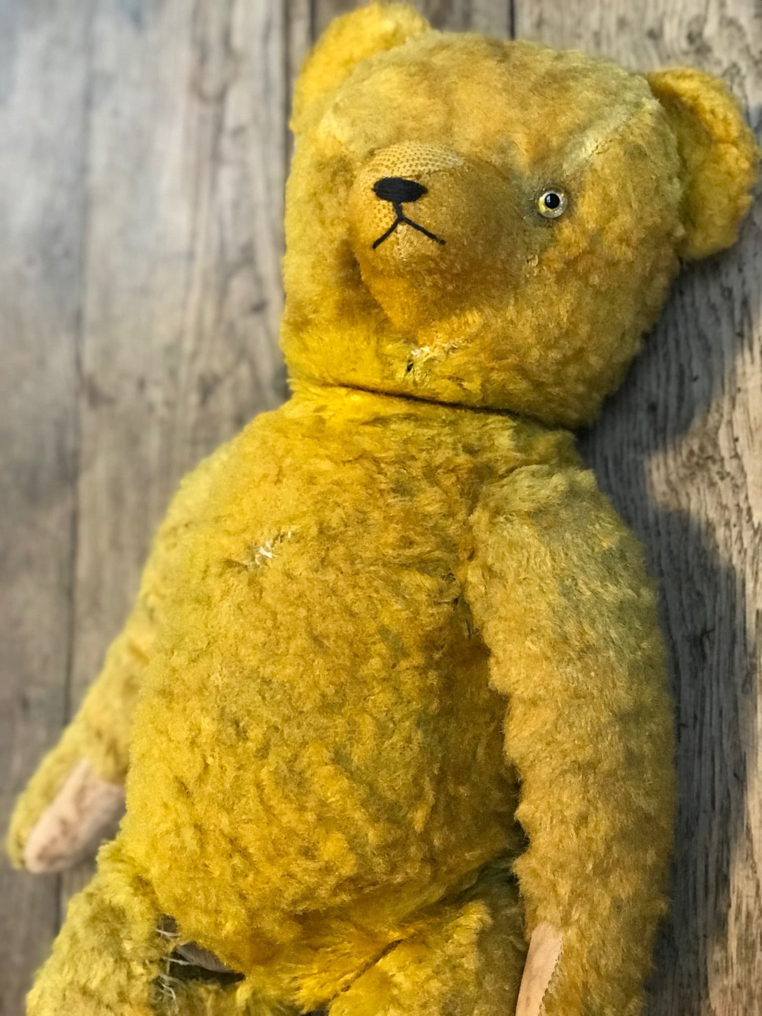 アンティーク ドイツ 1940年代 テディベア | 家貨屋 kakaya