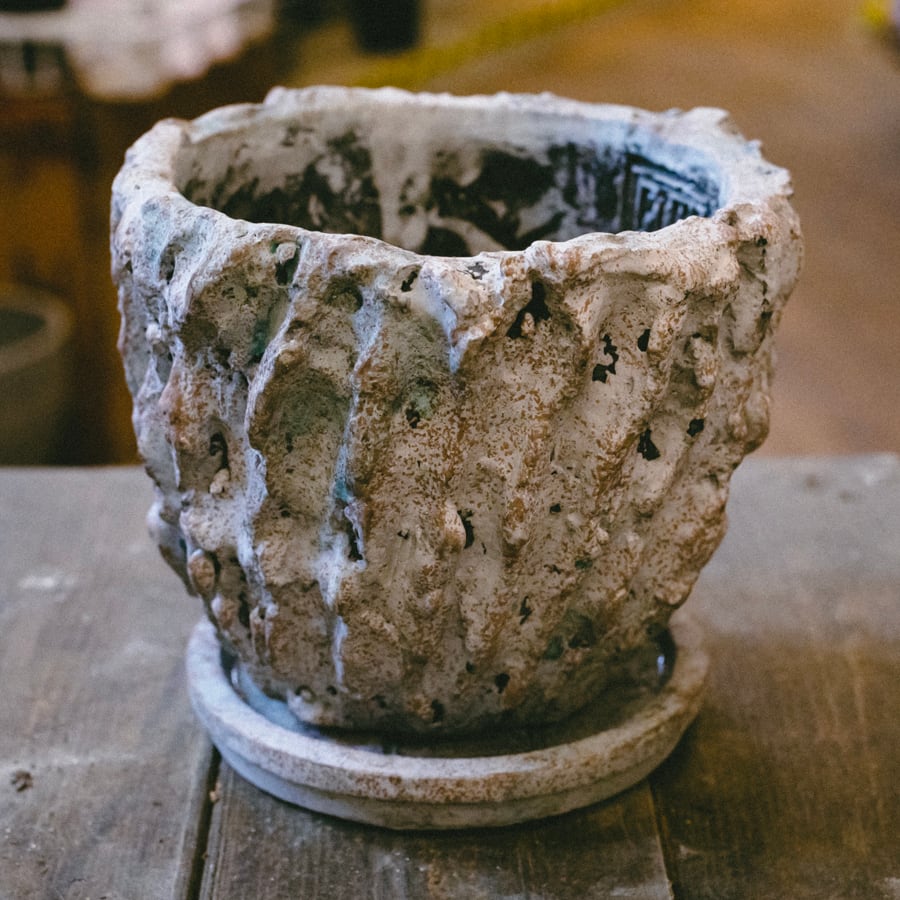 鉢 無骨 陶器鉢 〜3.5号○直径約11㎝ 高さ約11㎝(受け皿約1㎝) 植物