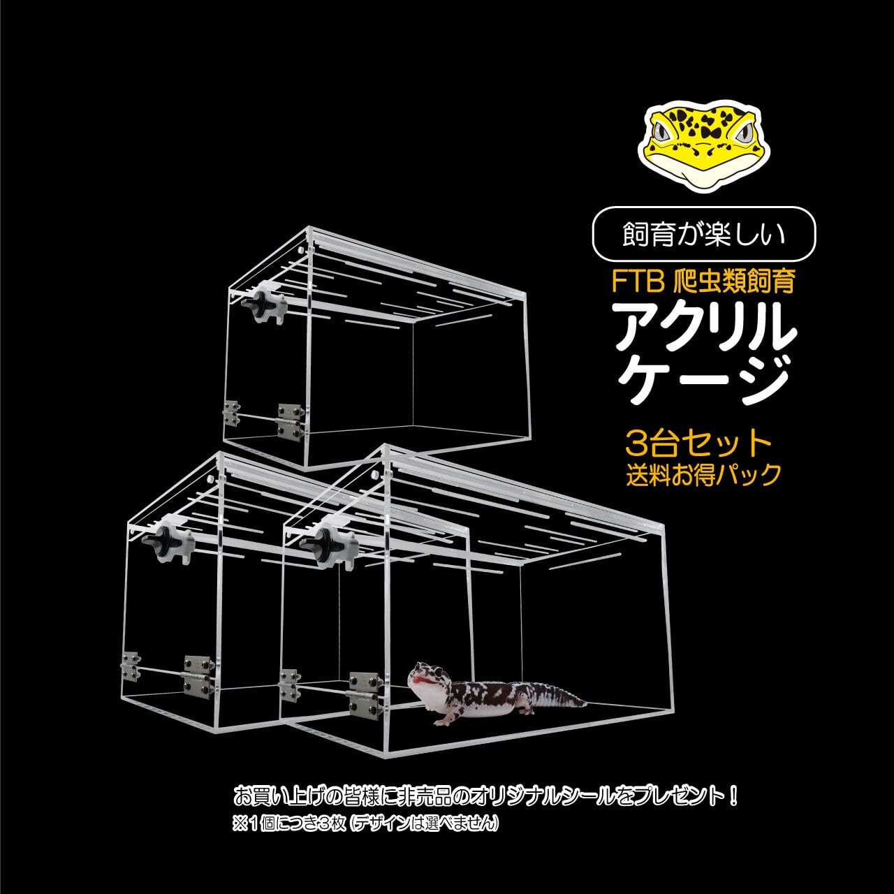 FTB小型爬虫類アクリルケージ3台セット【送料お得パック】 | CLEAN