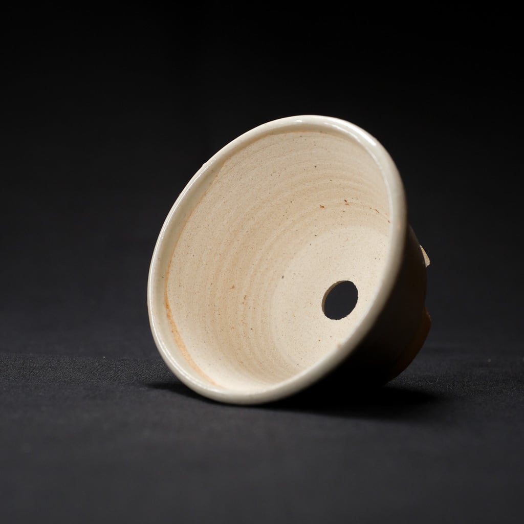 絵鉢 烏賊【Q鉢】 | bonsaiQ store