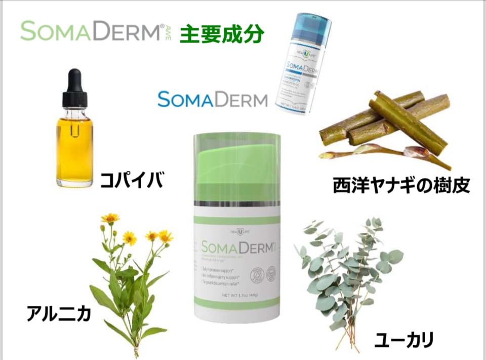 ソマダームAWE（消炎作用ジェル） | Pay ID