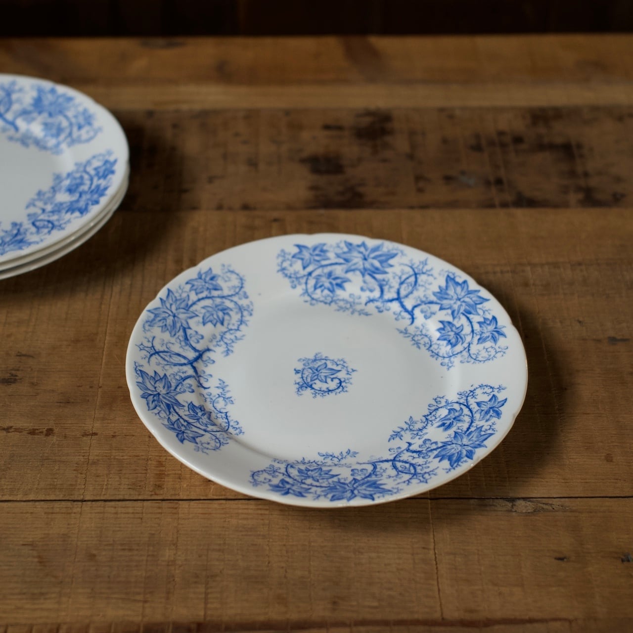 SARREGUEMINES Plate / サルグミンヌ プレート【B】〈 フランス食器