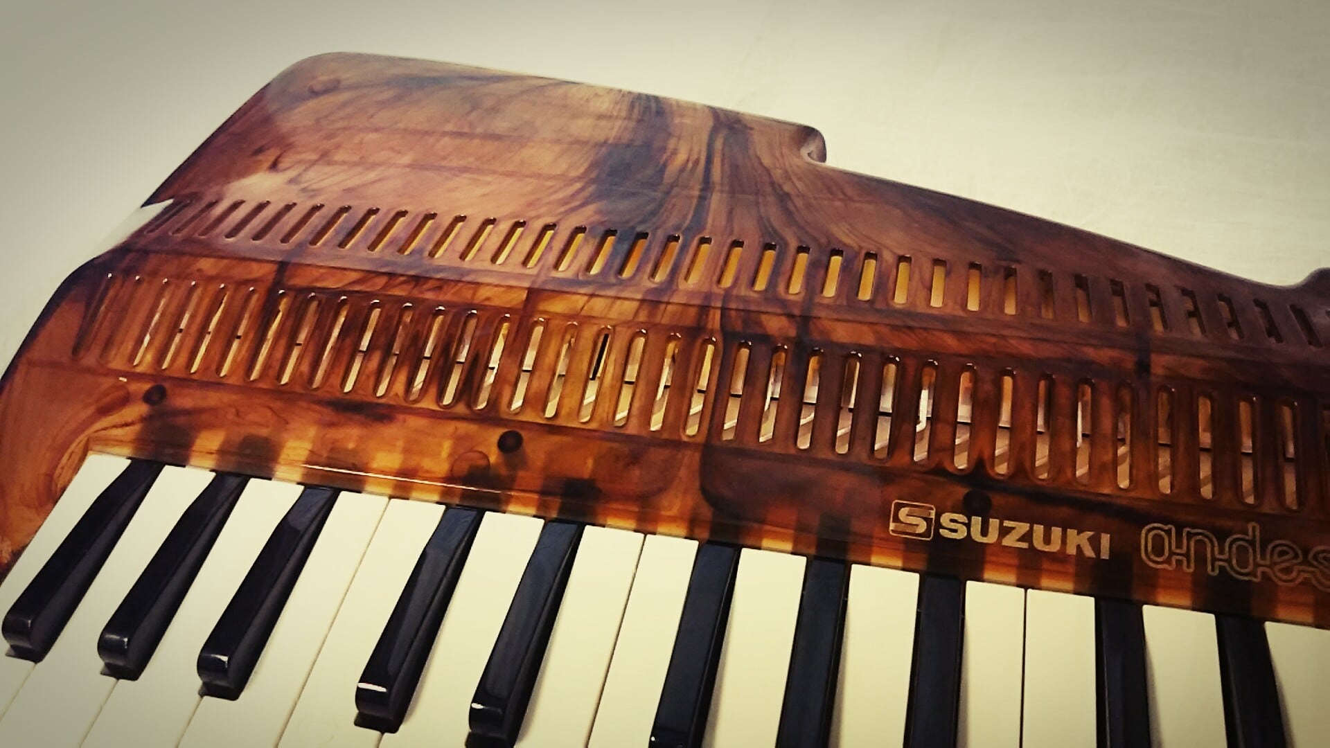 中古〕アンデス25F 限定色 ベッコウ柄 | おもちゃ楽器.com