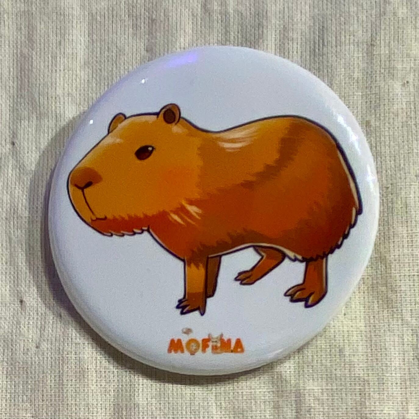 カピバラ子 0728ー0801 カピバラ子 0728ー0801 カピバラ子 0728ー0801