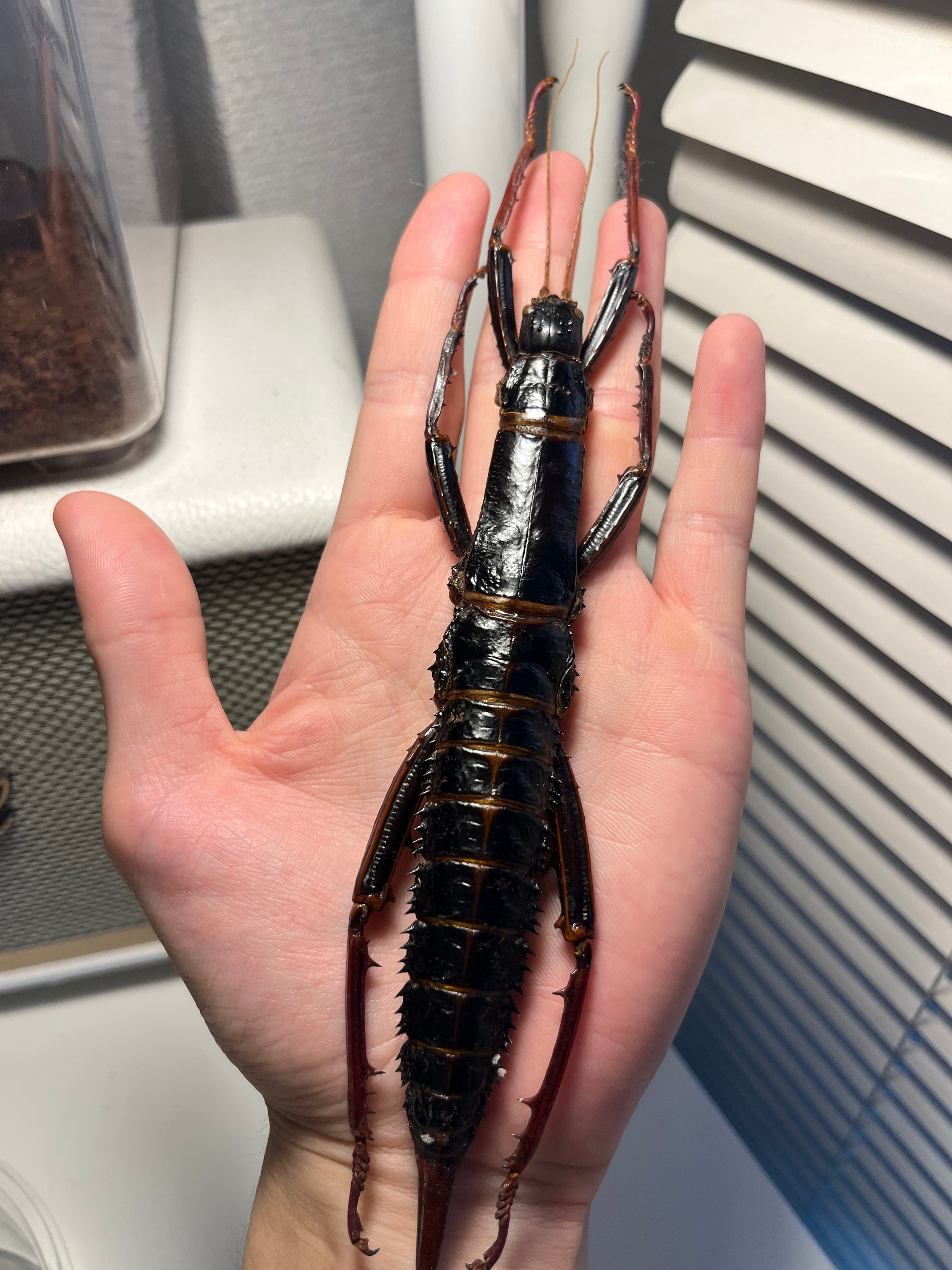 1cf25a9263fb1825eeb4573dc41b23