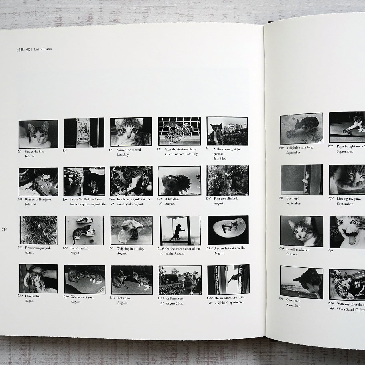 afterword 深瀬昌久 | タイムカプセル