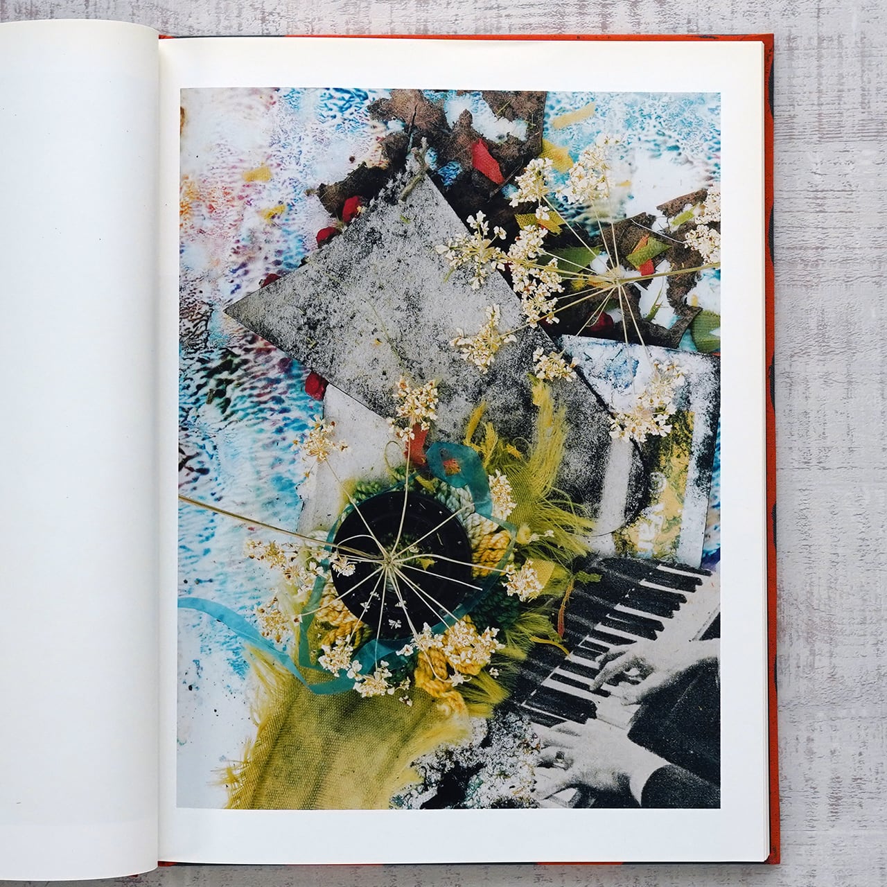 Stephen Gill スティーヴン・ギル Hackney Flowers | タイムカプセル